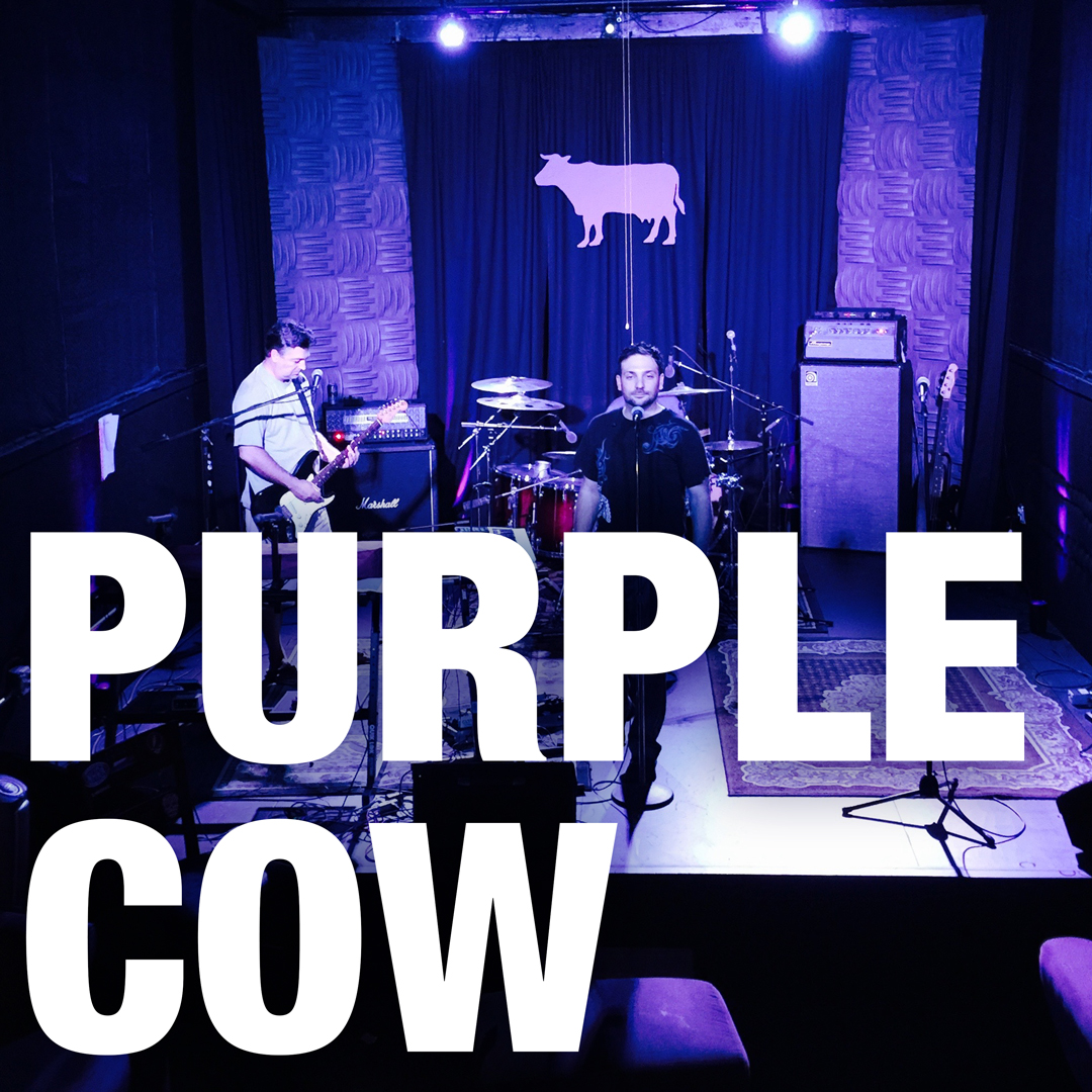 PURPCOW.jpg