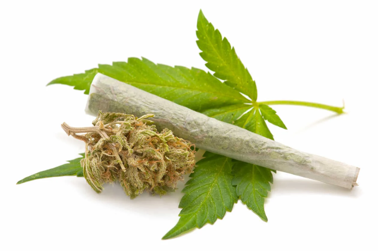 Usos-medicinales-de-la-tintura-de-cannabis-3.jpg