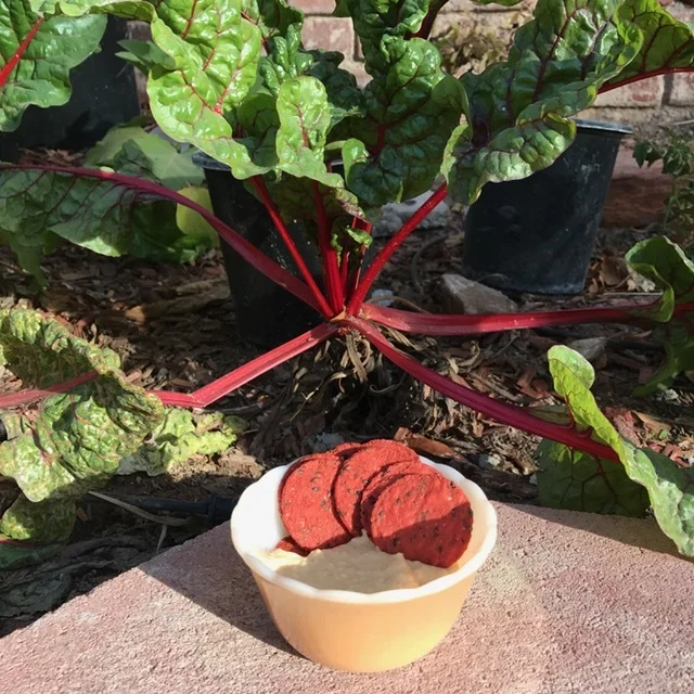 Gardening: Swiss Chard 