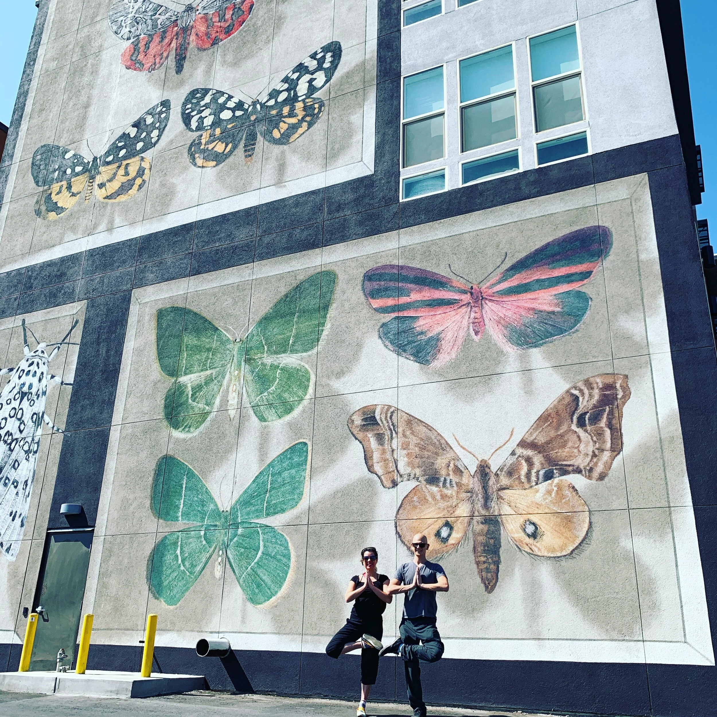 Wishing Wellness Yin Yoga 