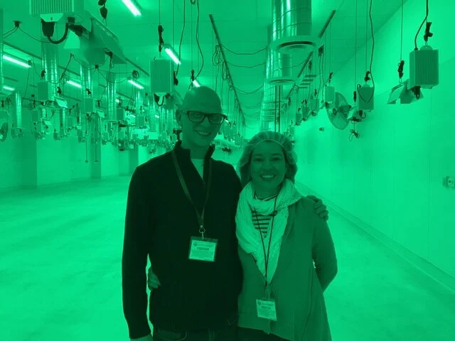 Medical Cannabis at Wishing Wellness  