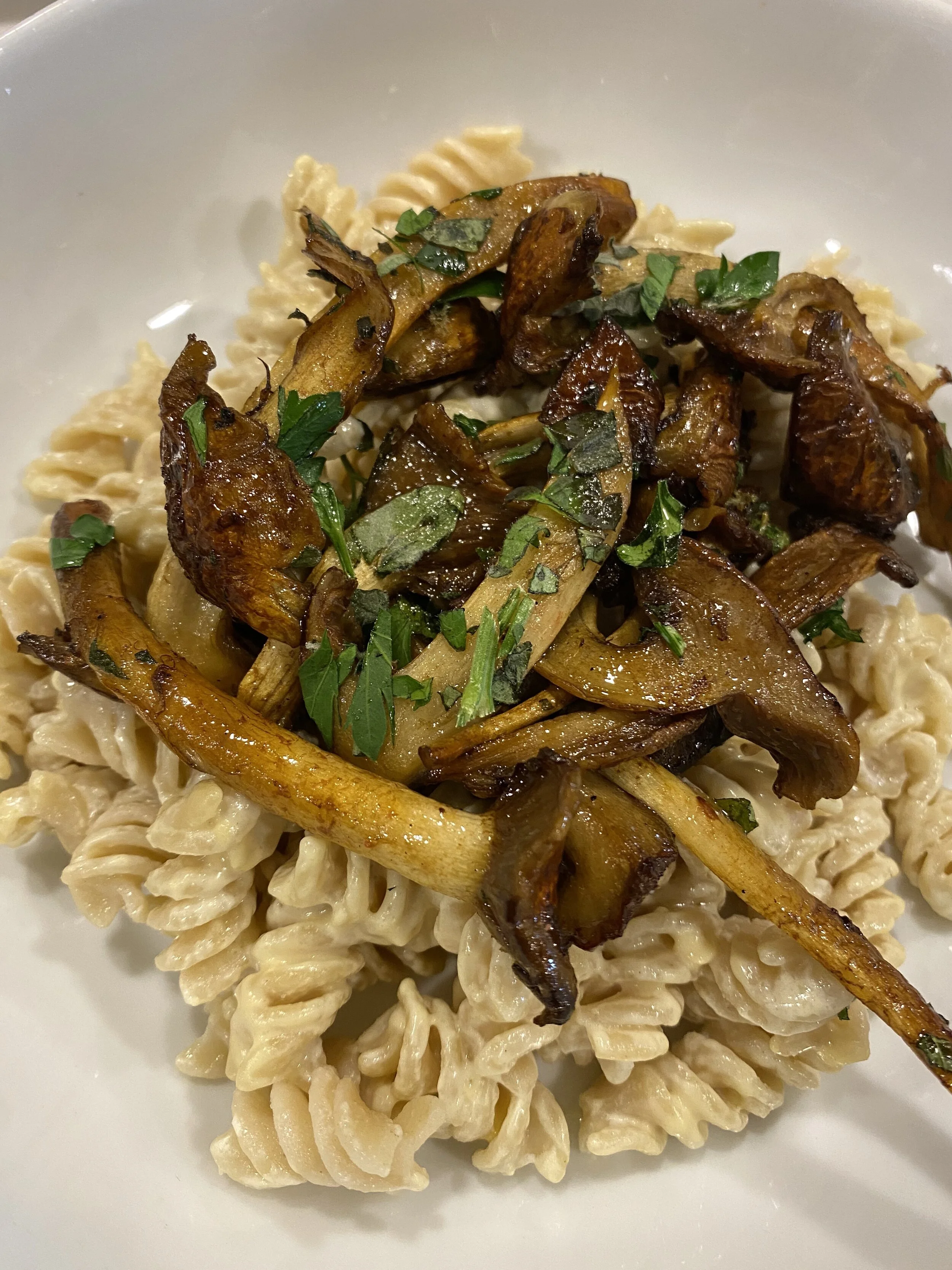 Dr. Scott's Vegan Cashew Cream Sauce