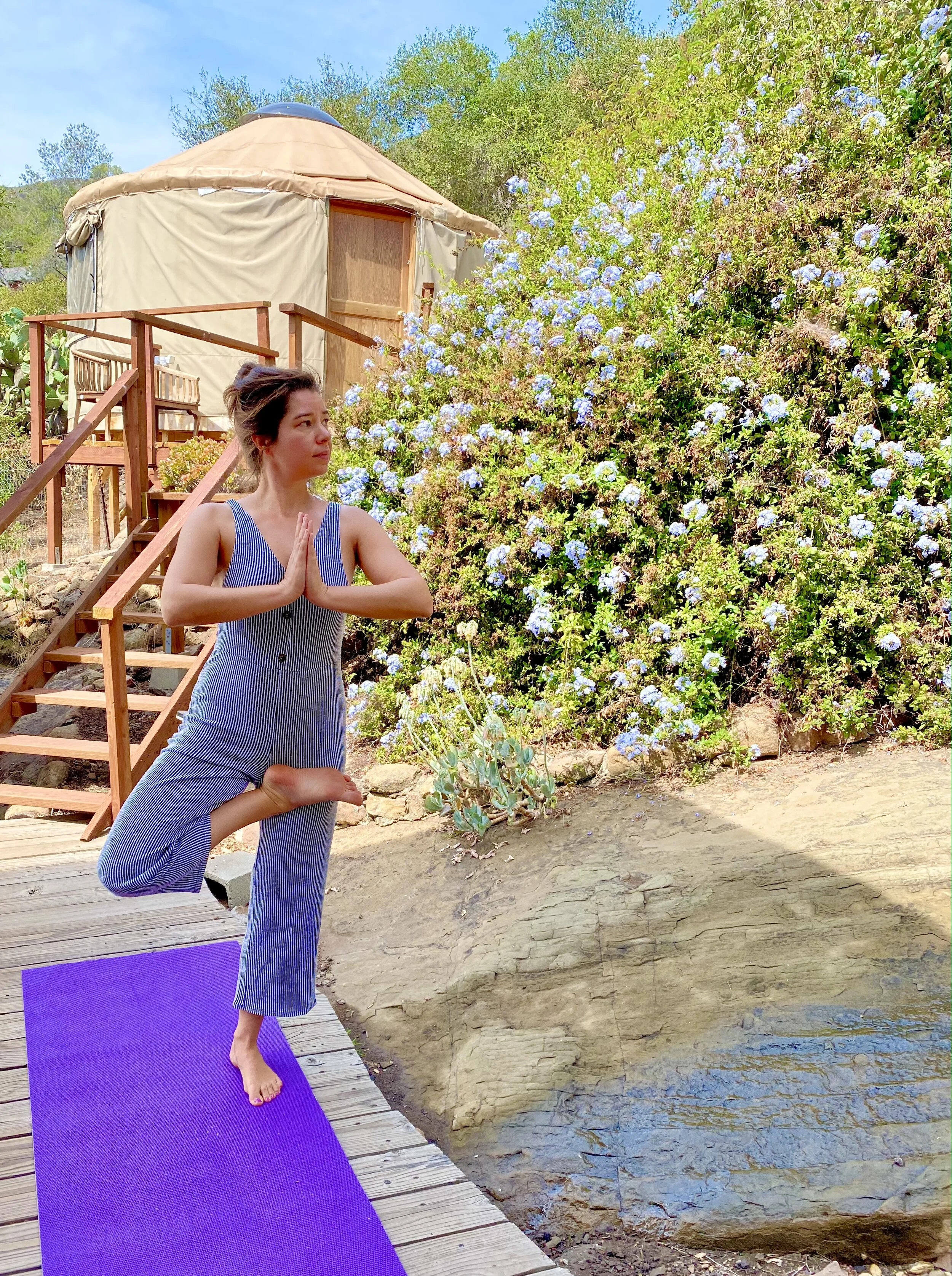 Health Coaching at Wishing Wellness 