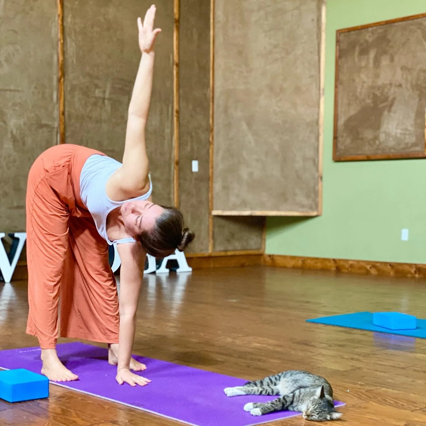 Wishing Wellness Yoga 