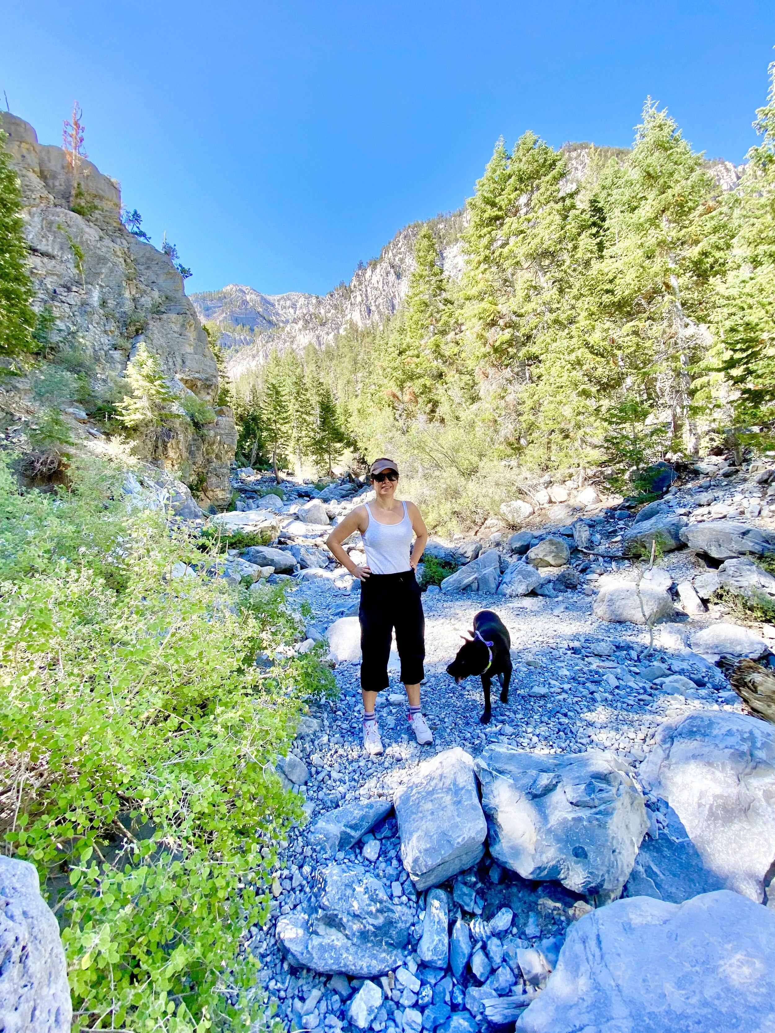 Wishing Wellness Hiking For Health 