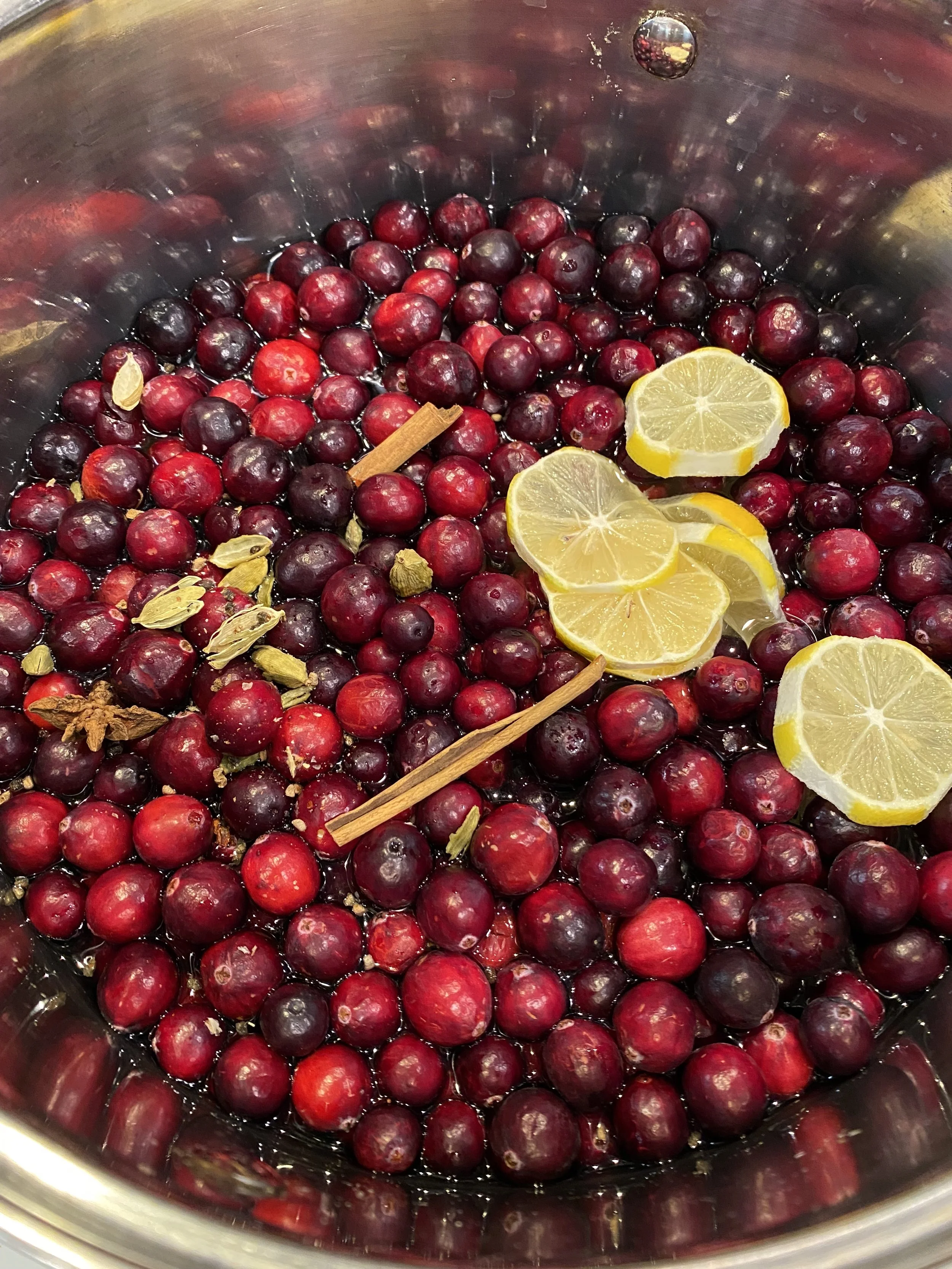 Wishing Wellness Cranberry Kompot