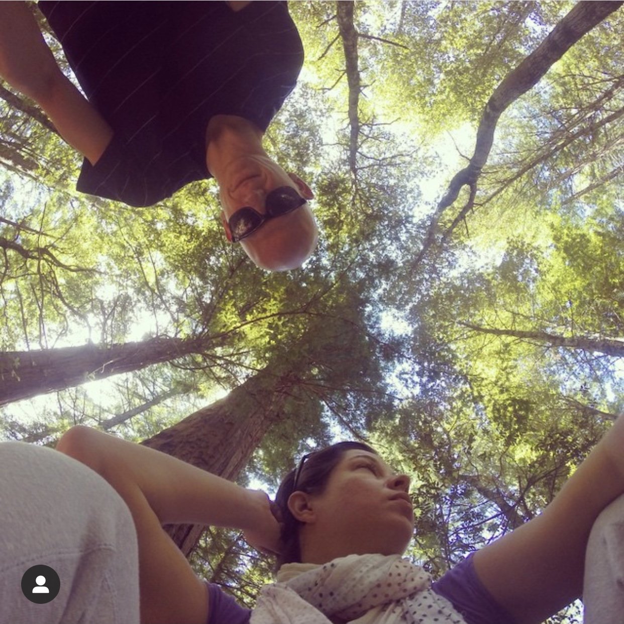 Forest Bathing
