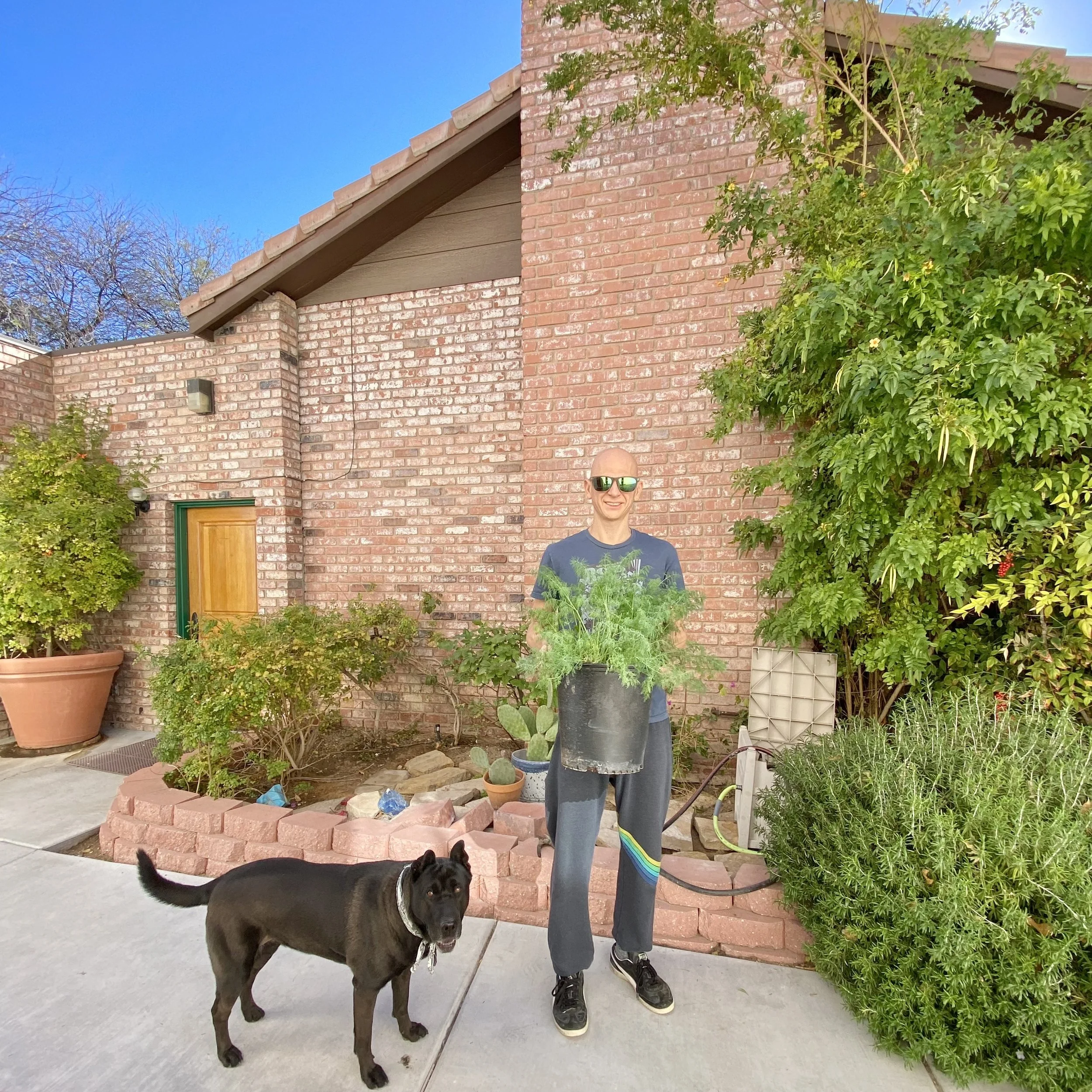 Wishing Wellness Garden