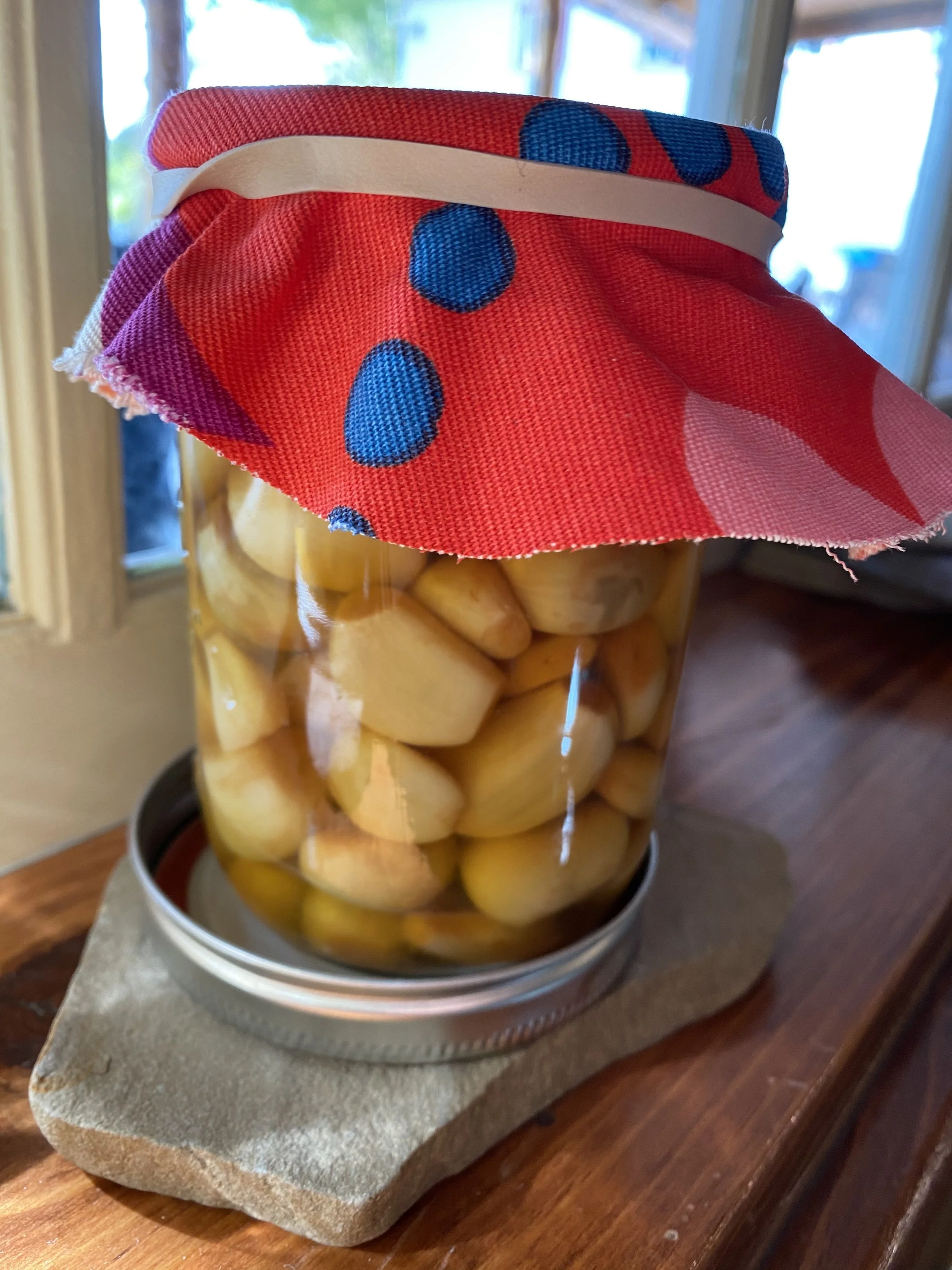 Wishing Wellness Fermented Garlic