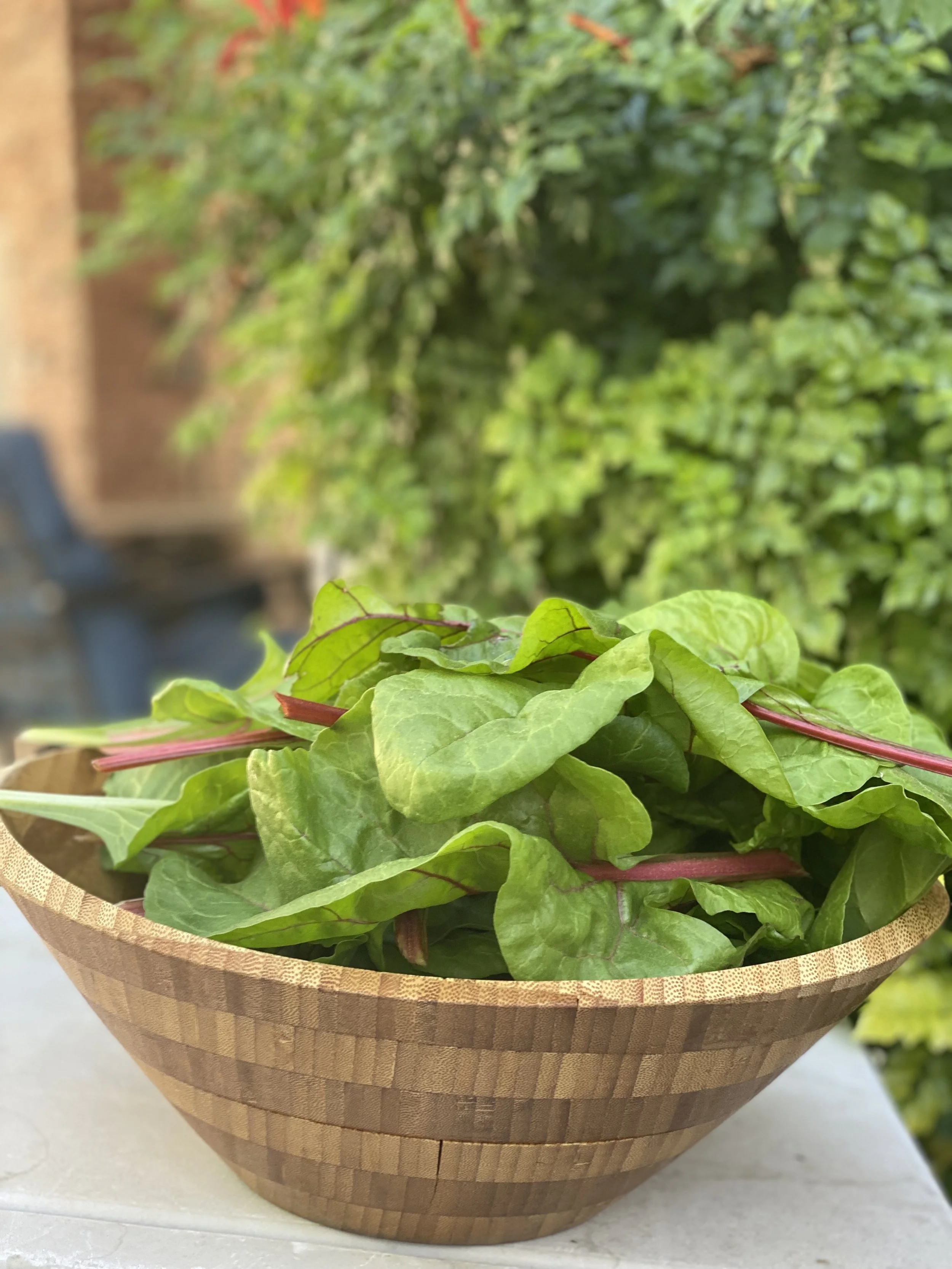 Dr Scott's Green Smoothie 