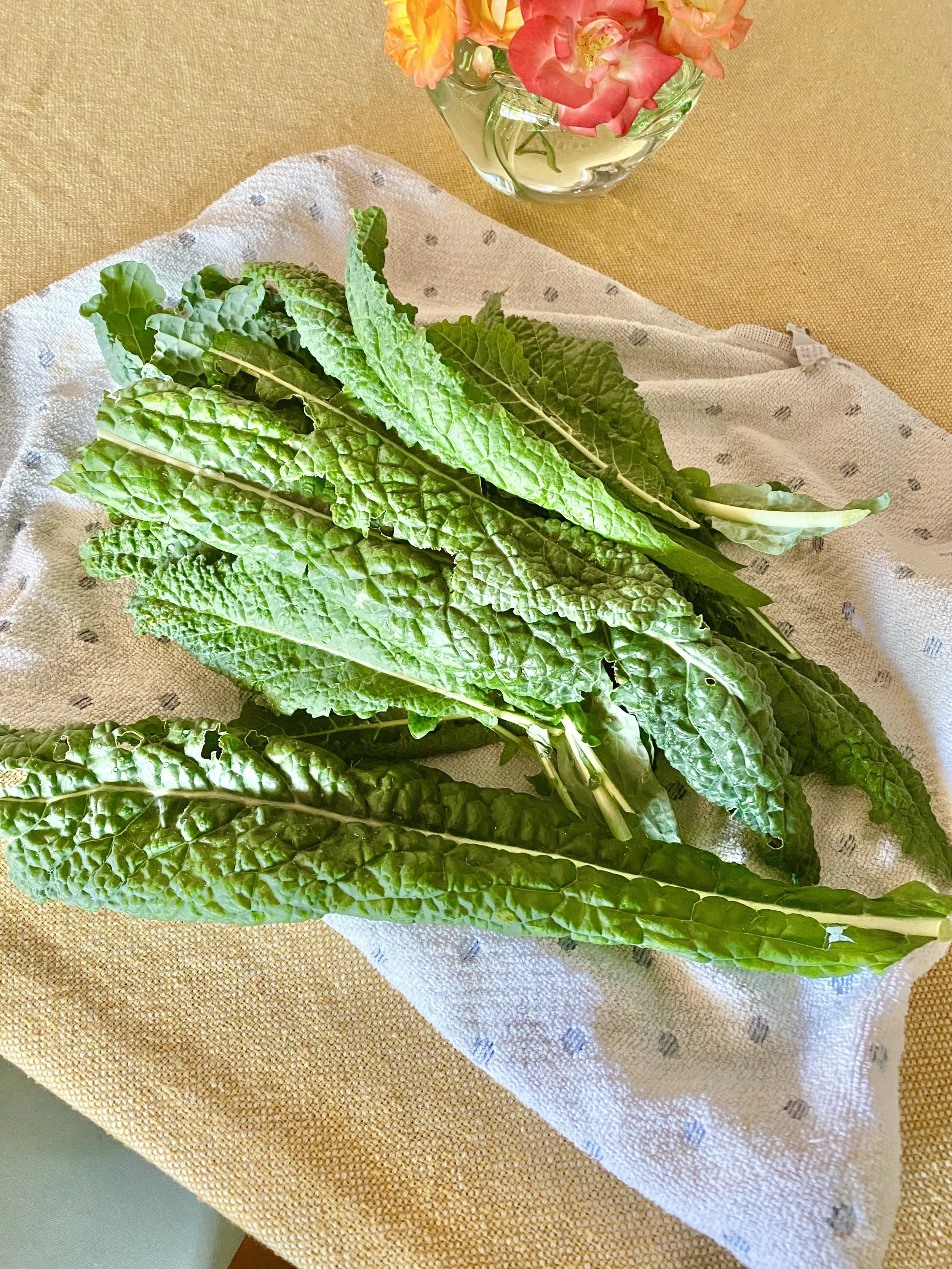 Kale Chips from the Wishing Wellness Garden