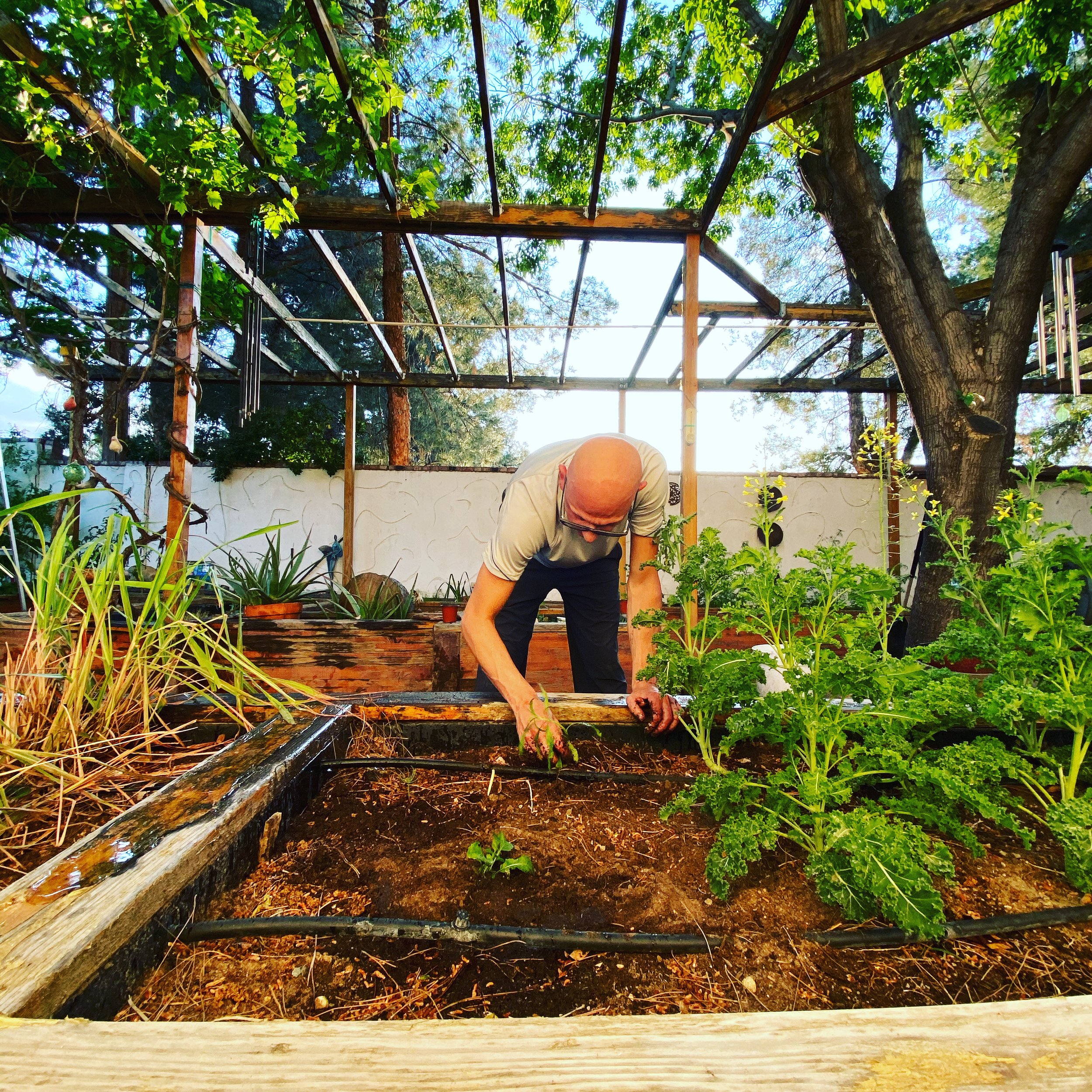 Functional Medicine at Wishing Wellness Medical 