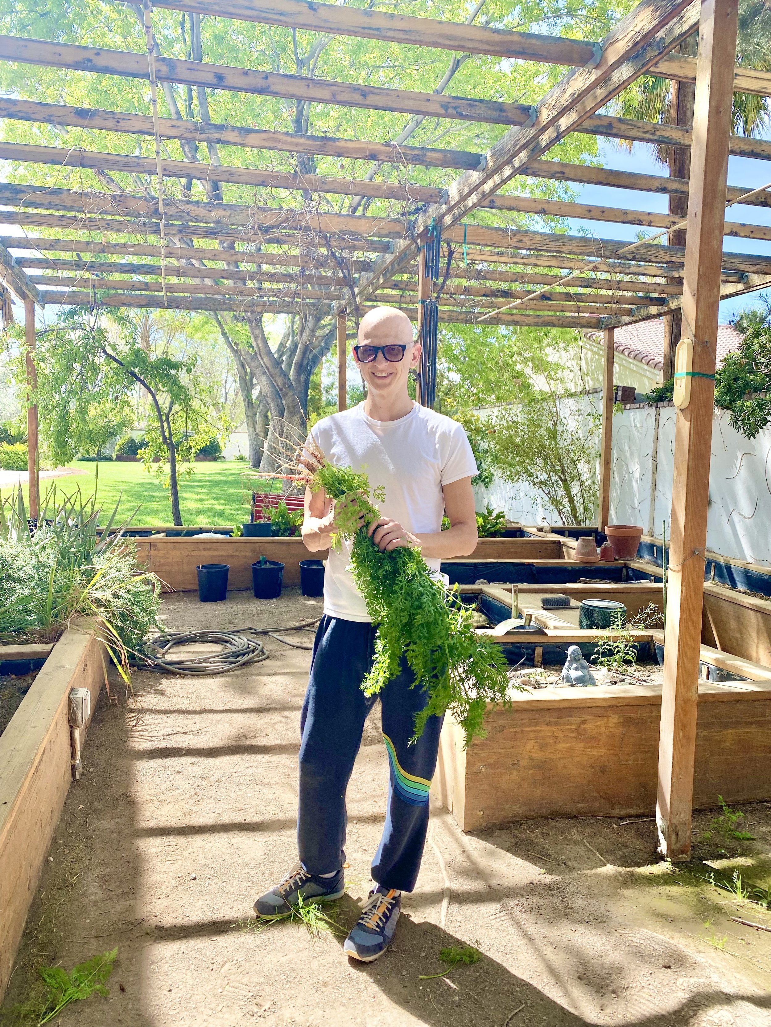 Wishing Wellness Medicinal Garden