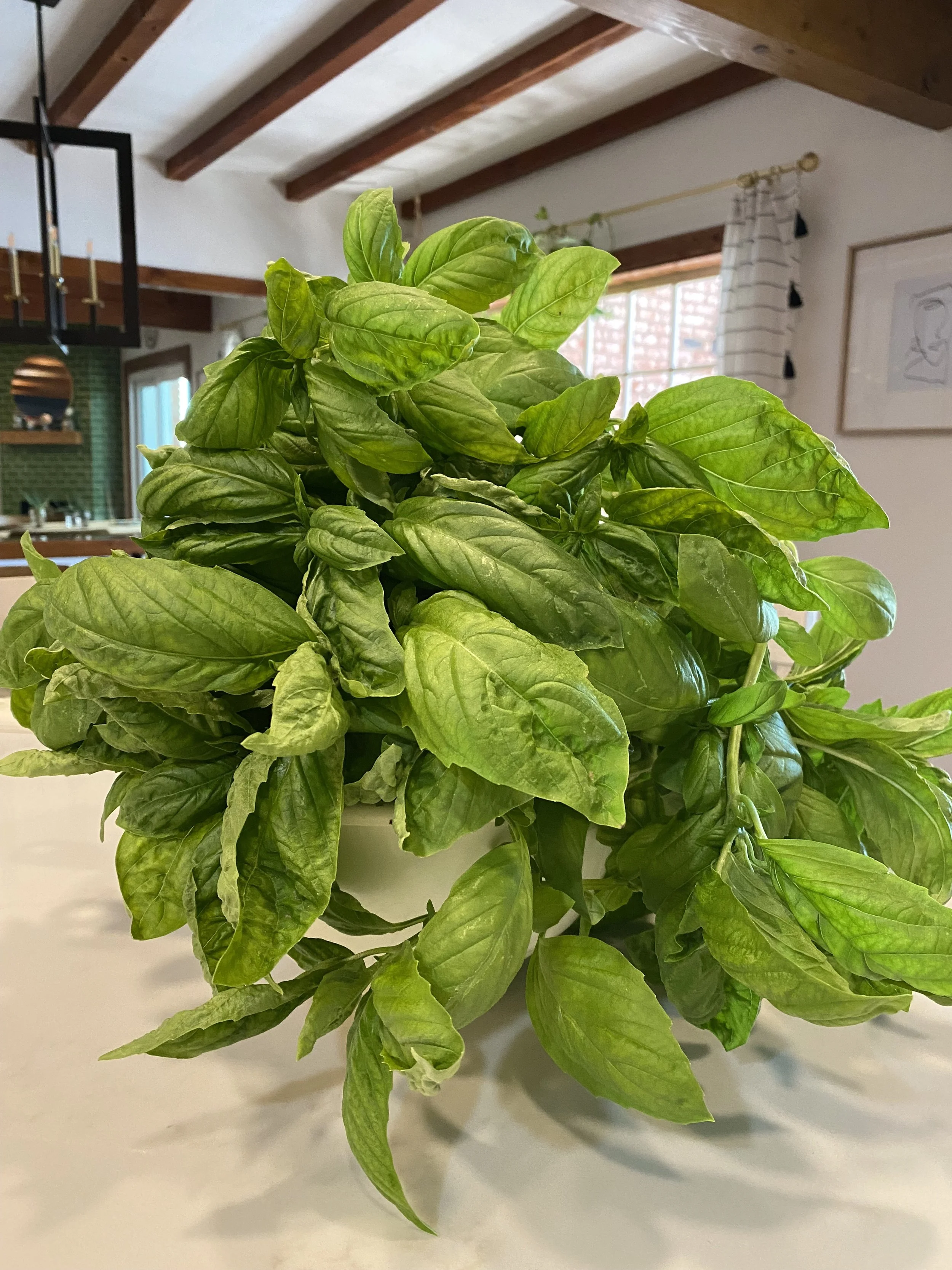 Wishing Wellness Pesto Recipe