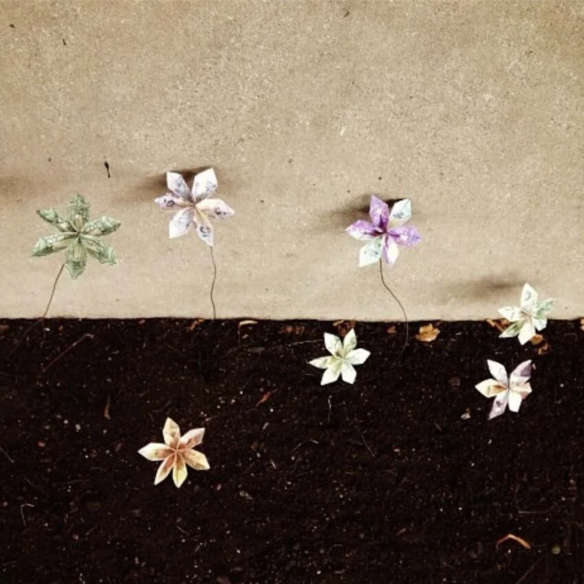 Flowers of life2.jpg