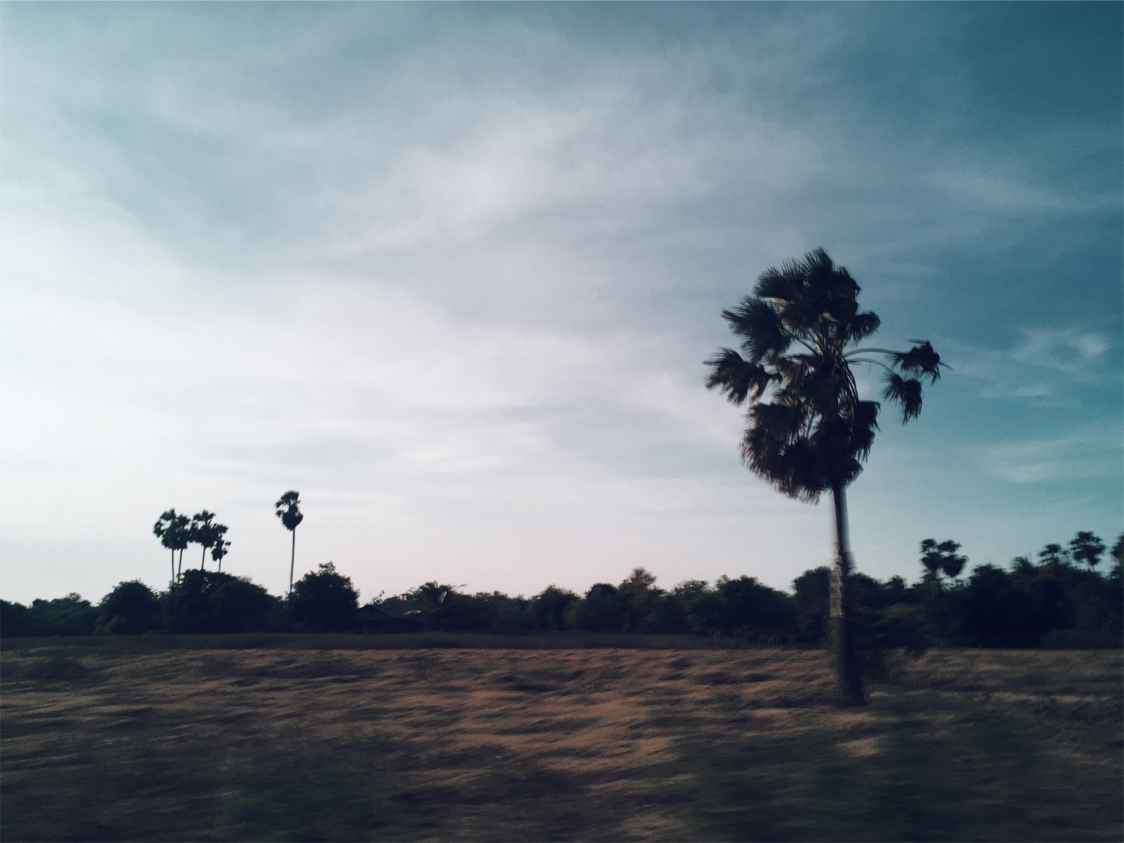 JPEG image-400C44571D54-17.jpeg