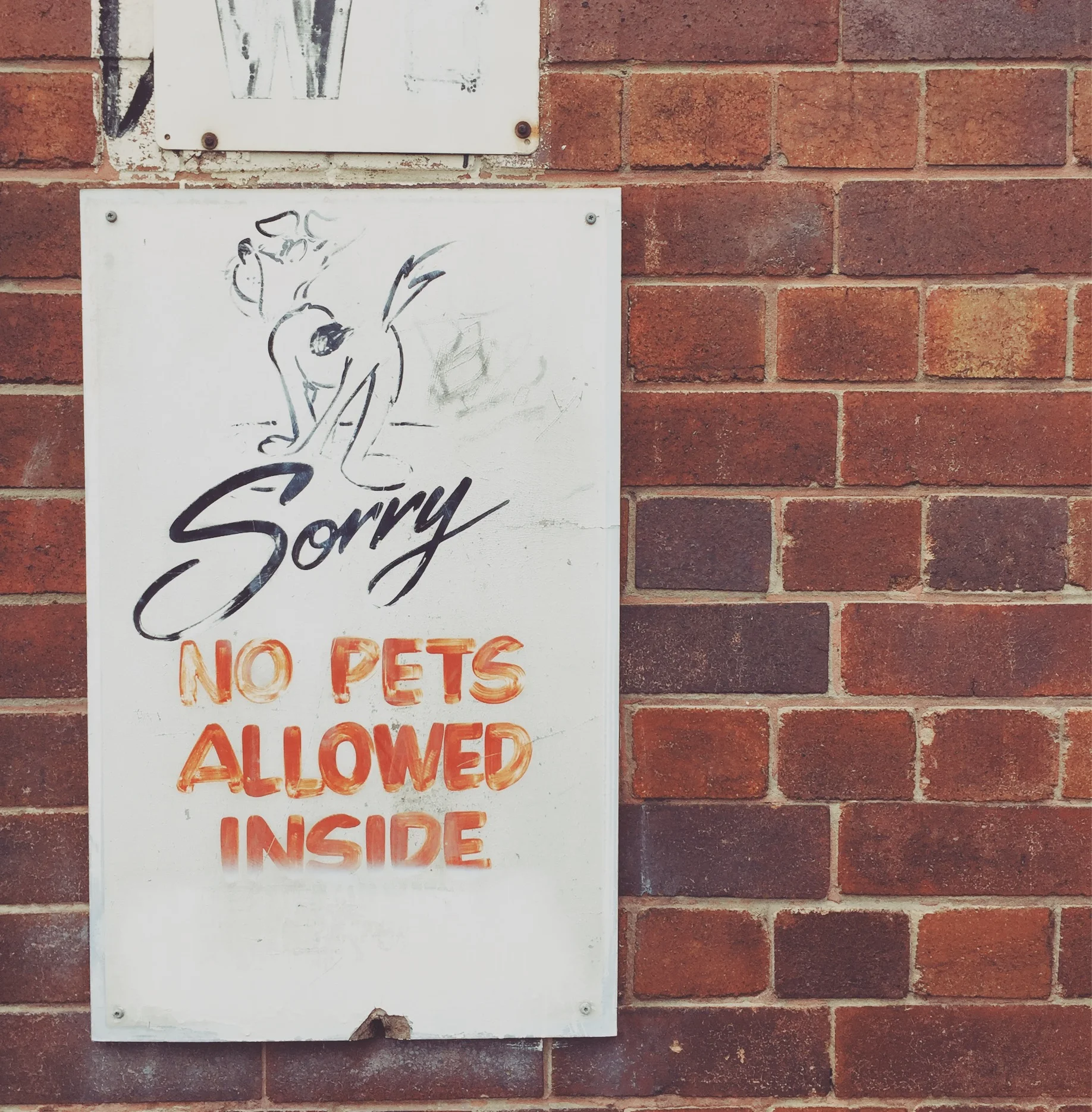 JPEG image-400C44571D54-53.jpeg