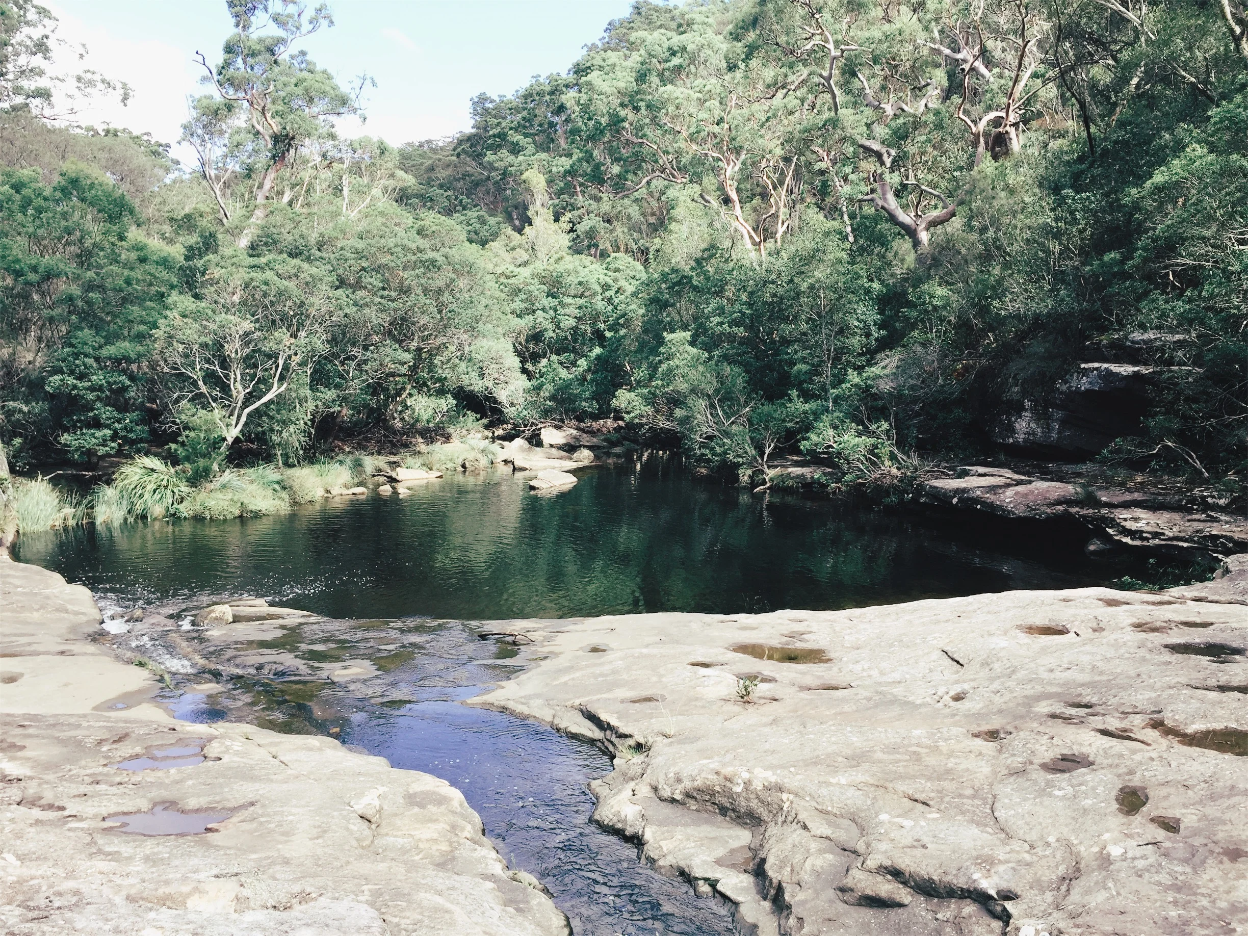 JPEG image-400C44571D54-52.jpeg