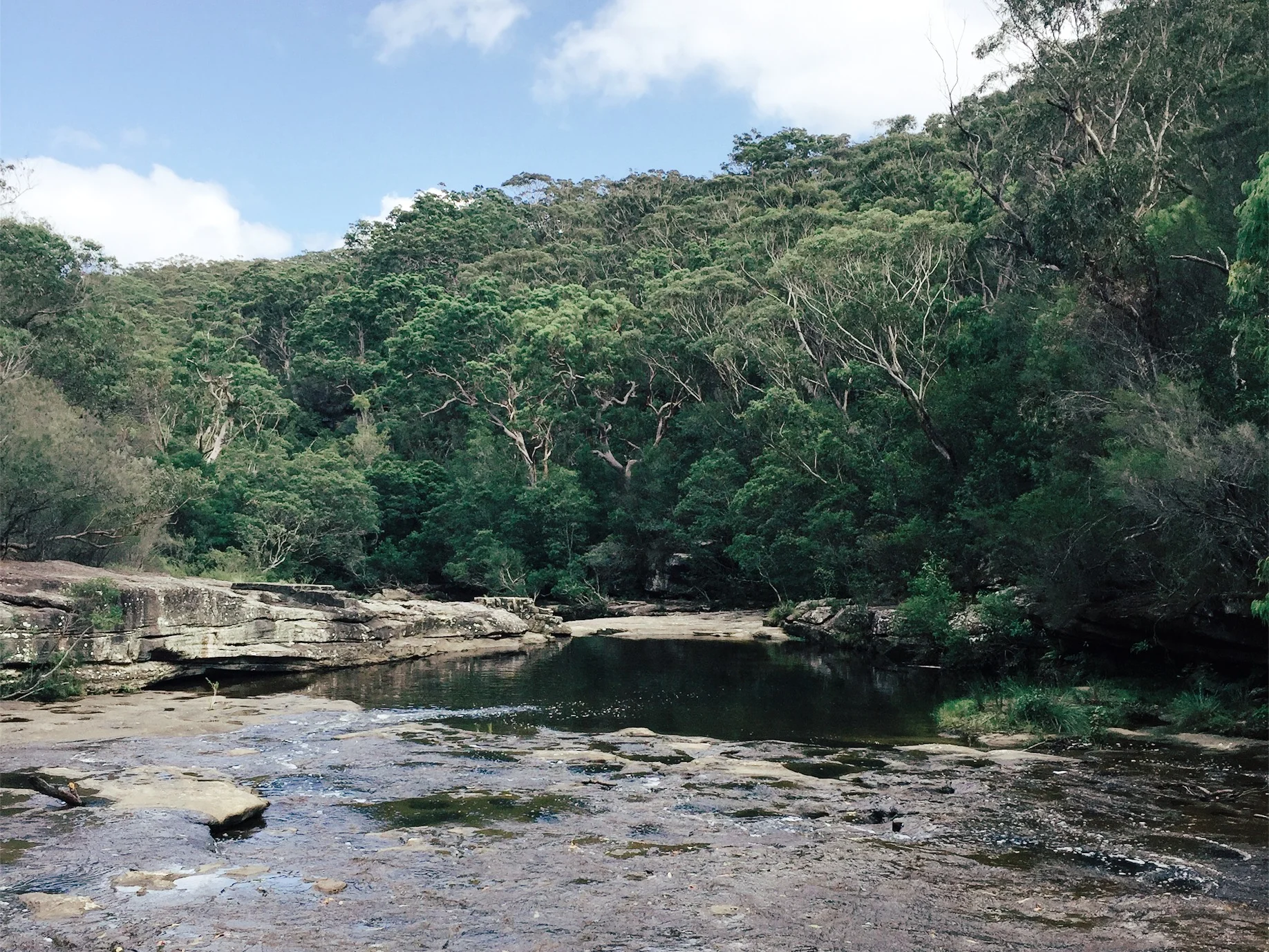 JPEG image-400C44571D54-56.jpeg