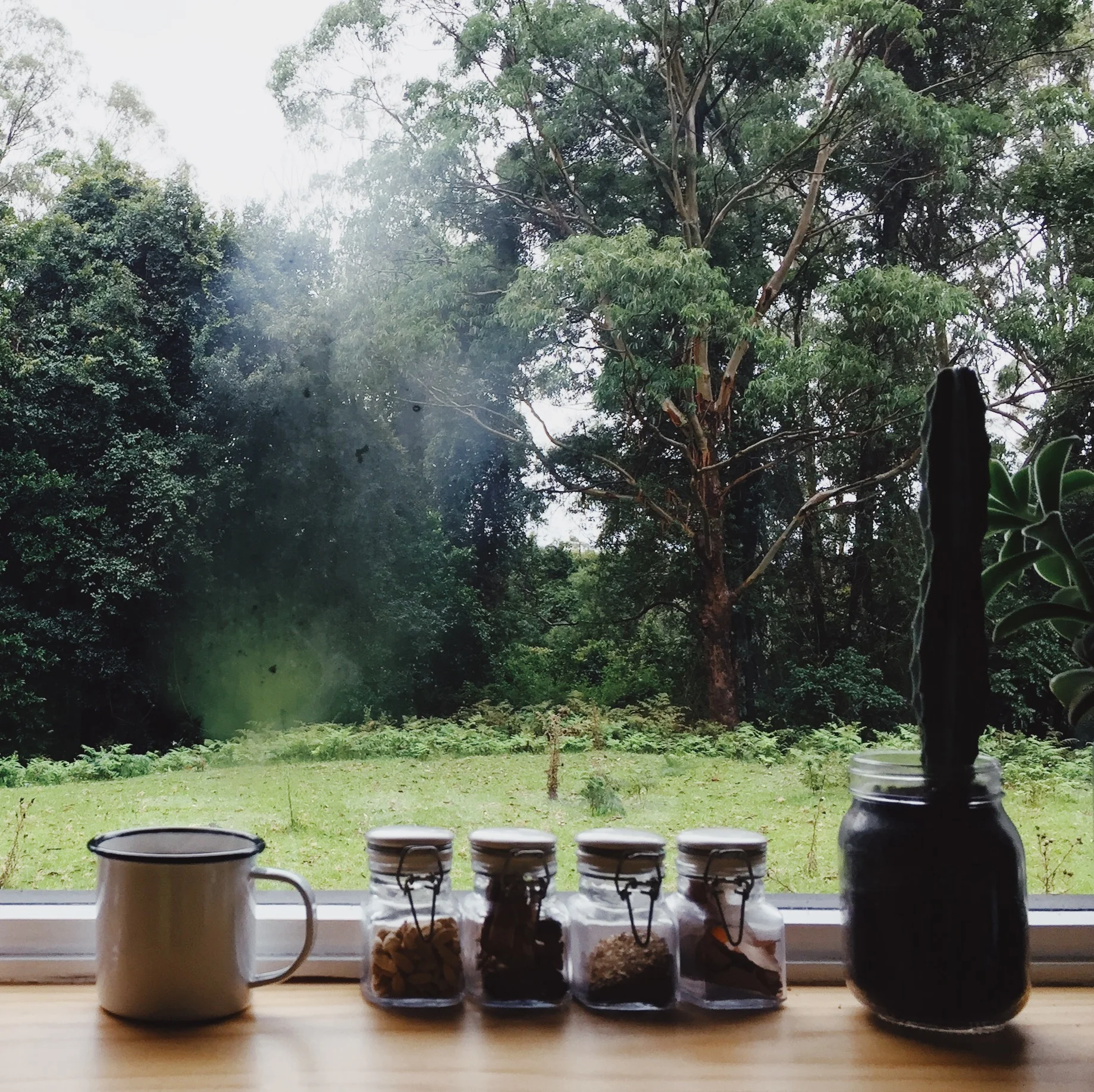 JPEG image-400C44571D54-43.jpeg