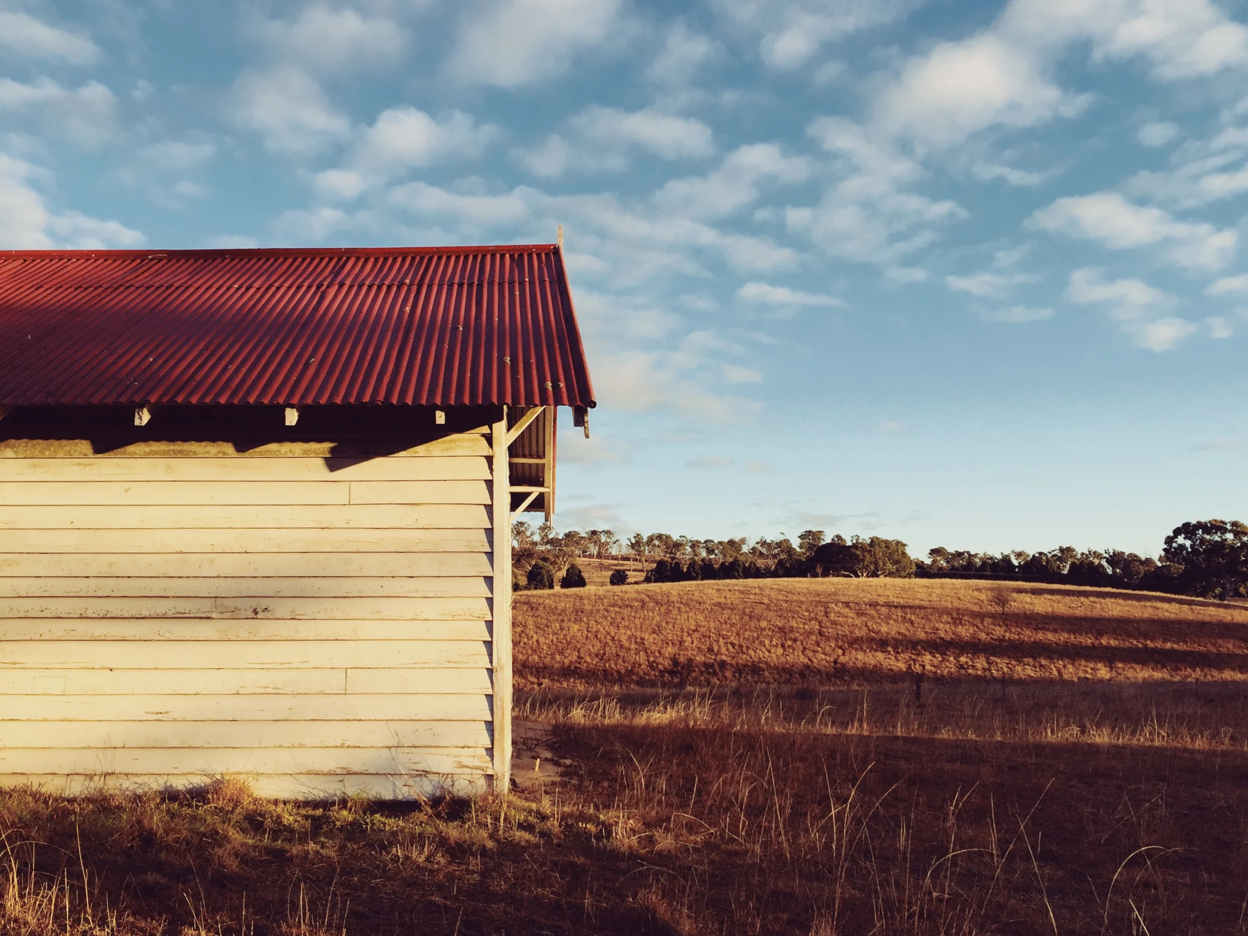 JPEG image-400C44571D54-1.jpeg