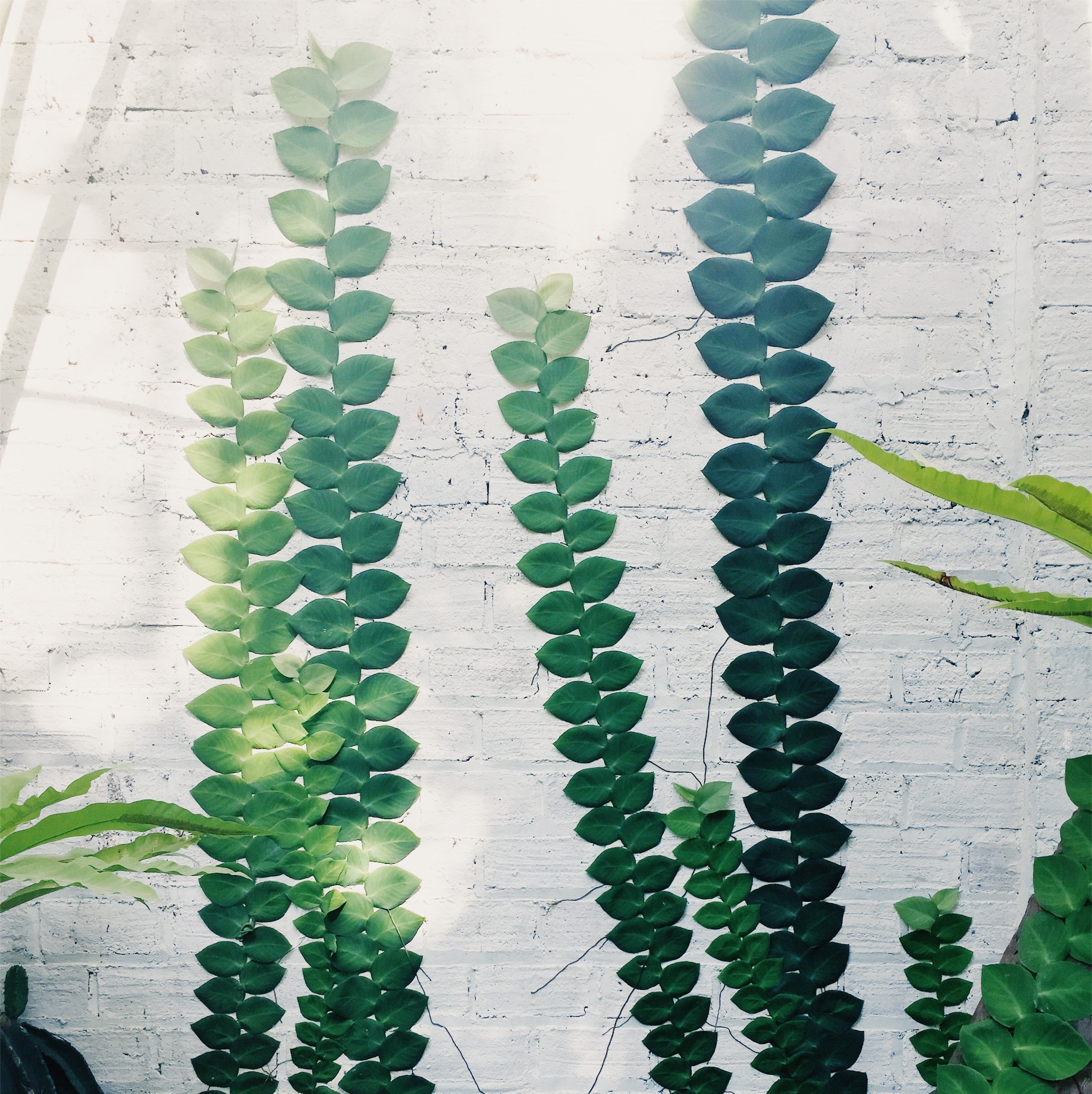 JPEG image-400C44571D54-4.jpeg