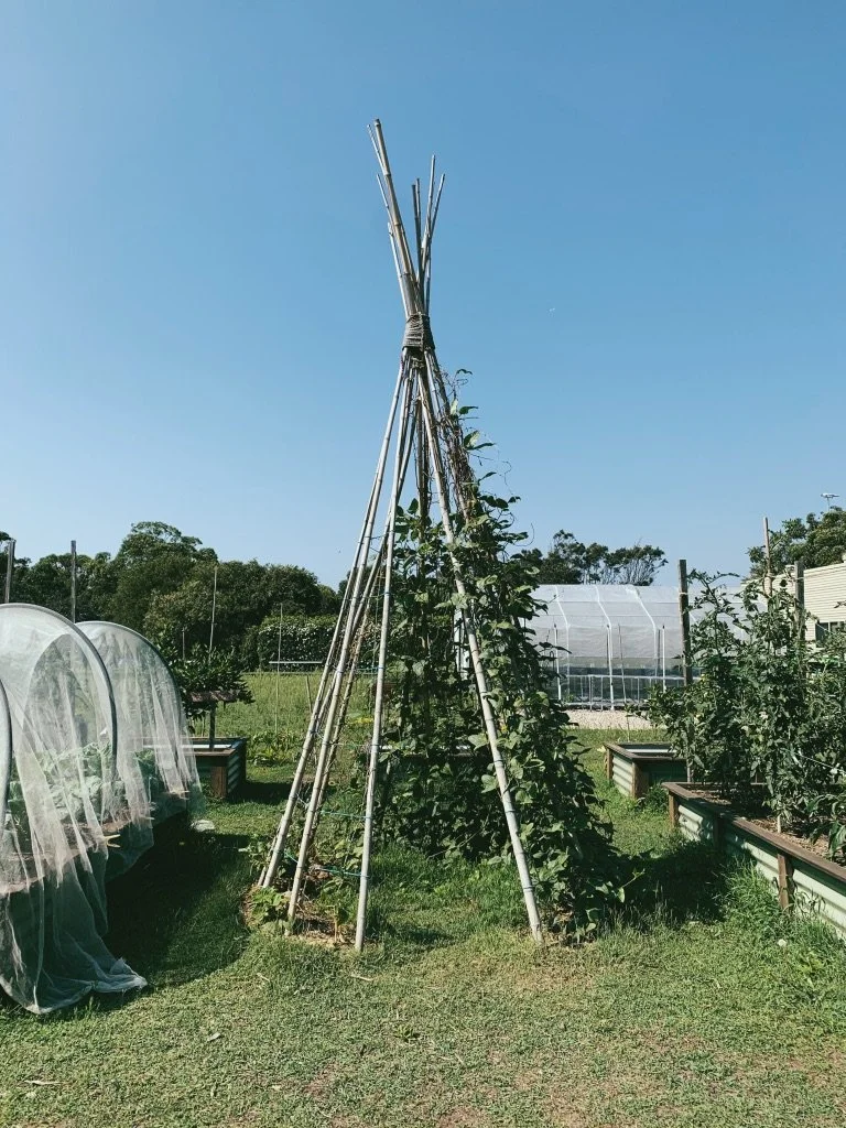 top five | surviving 2020 