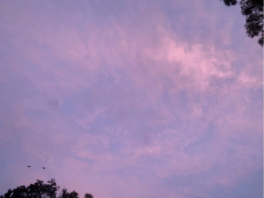 top five | a pandemic winter 