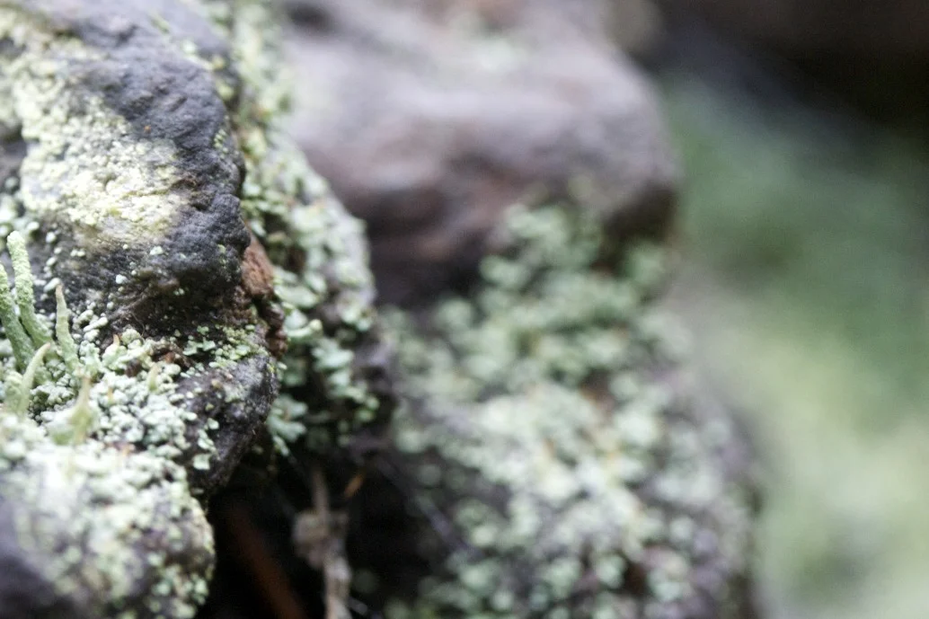 IMG_0208 - Version 2.jpg