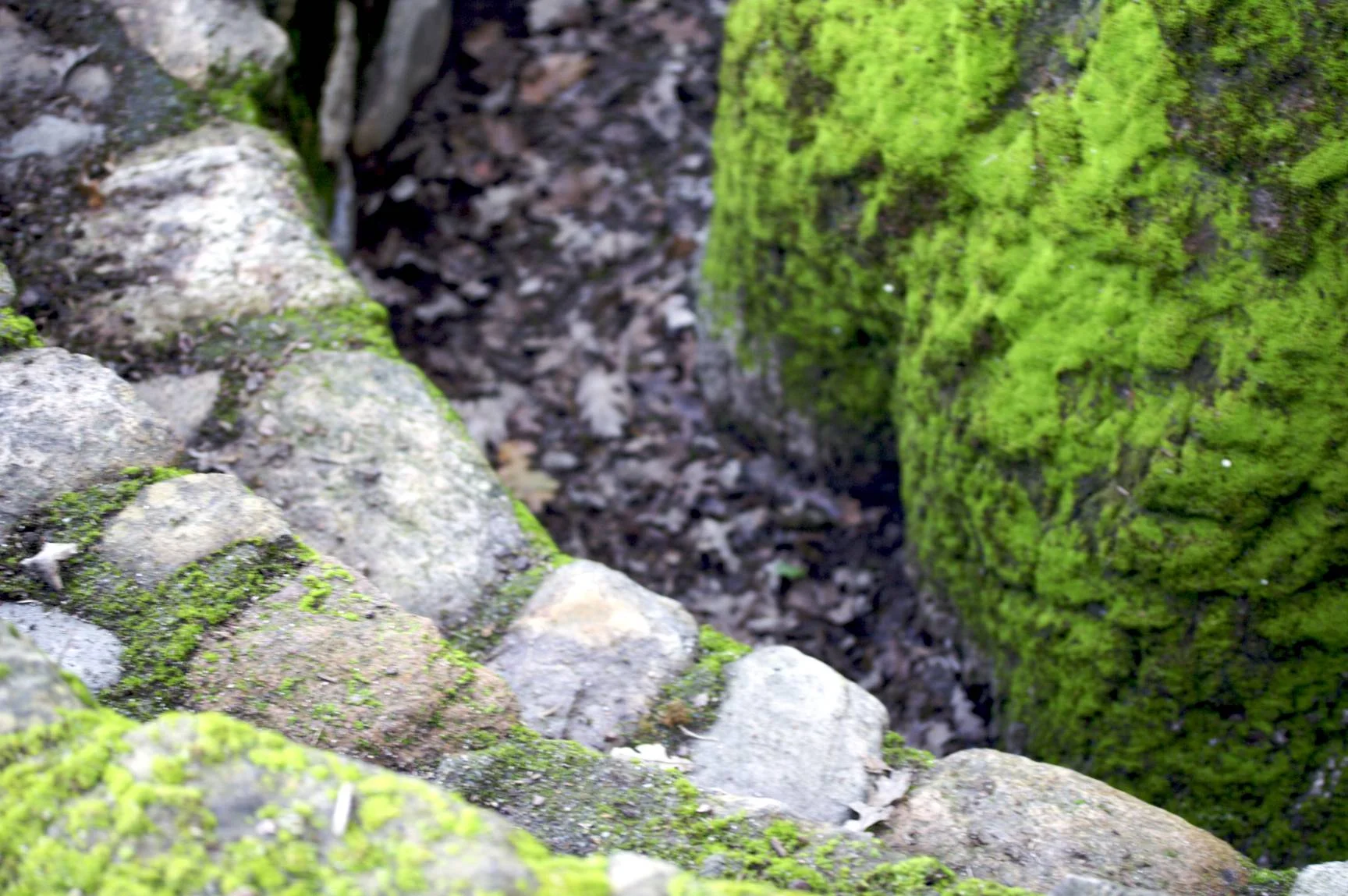 IMG_0957 - Version 2.jpg