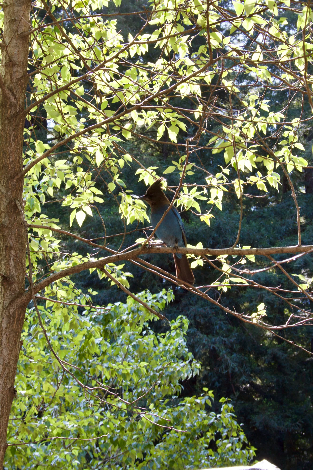 IMG_5396.jpg