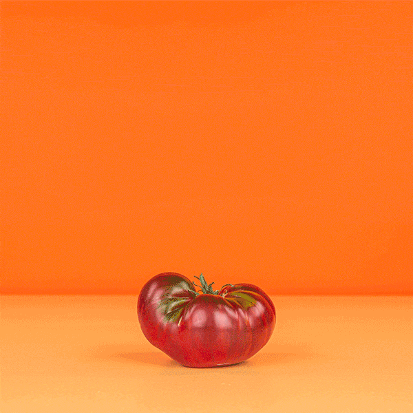 4-tomato_small.gif