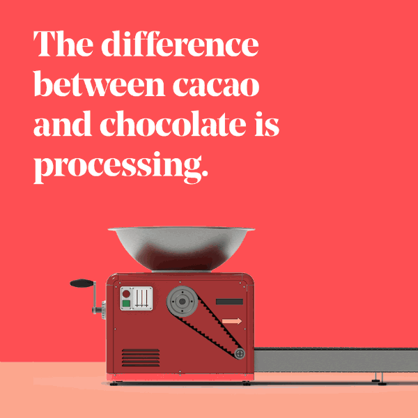 cacao.gif