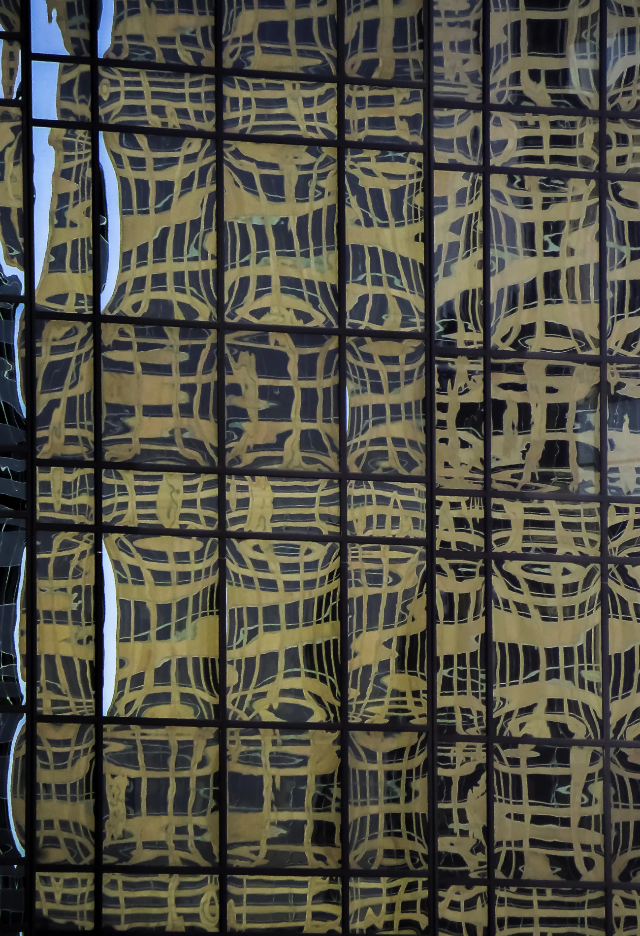 Reflected Distortion 2.jpg