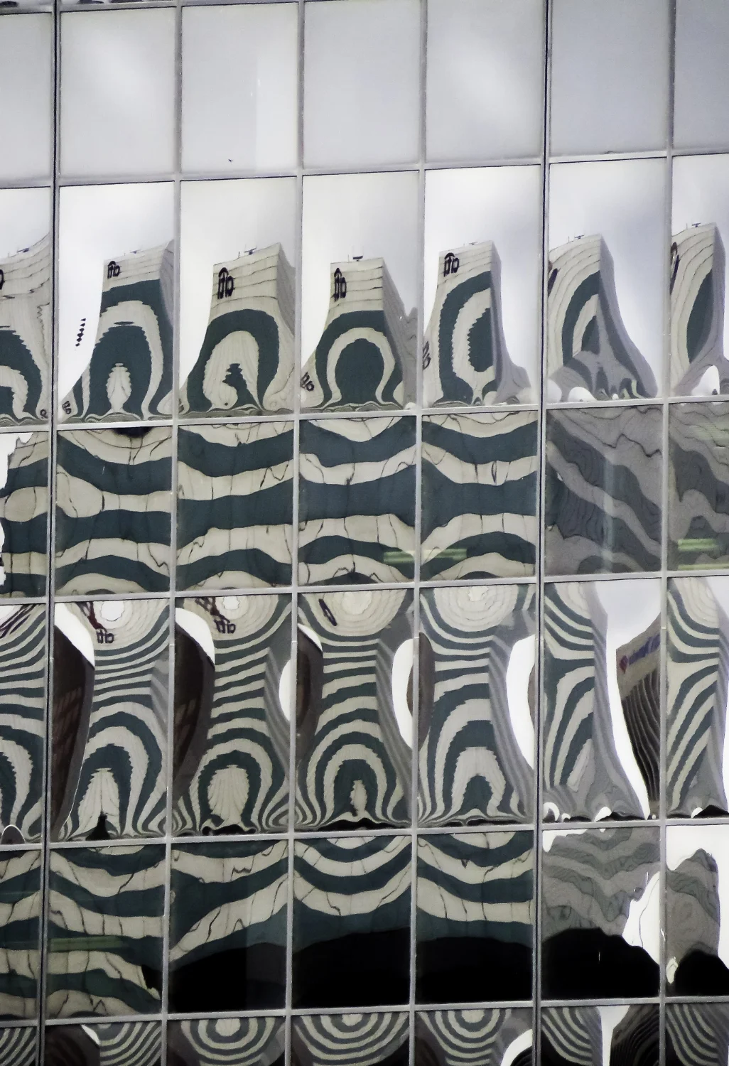 Reflected Distortion 1.jpg
