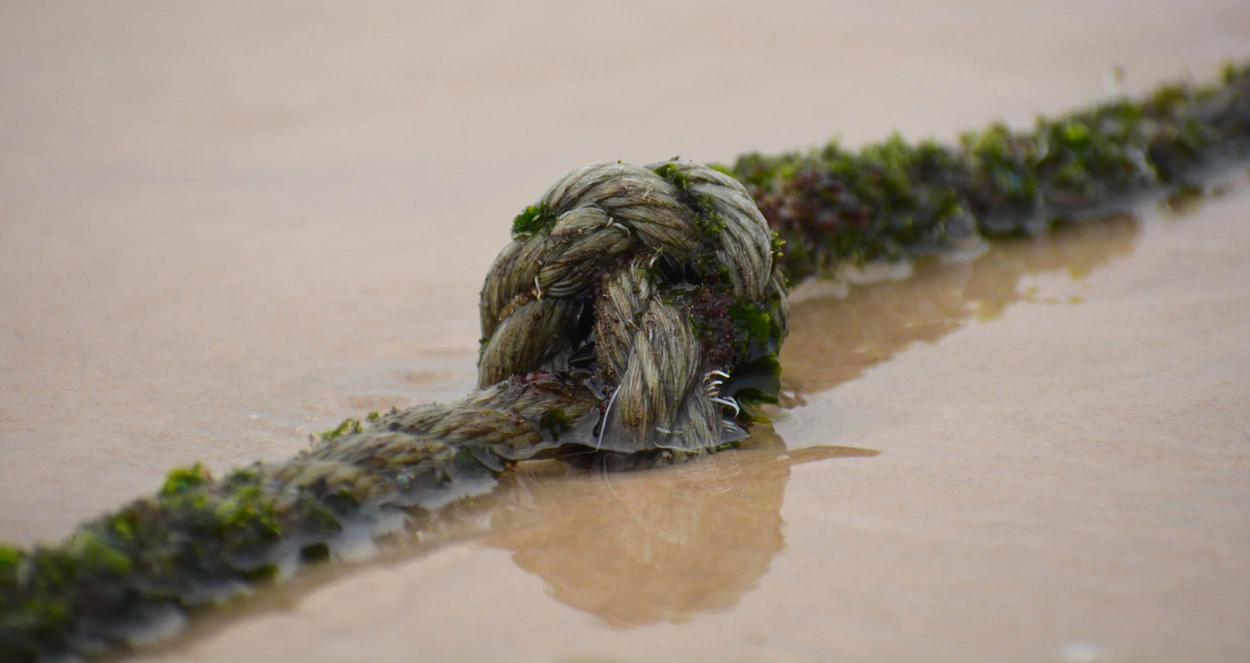 DSC_0456EDIT.jpg