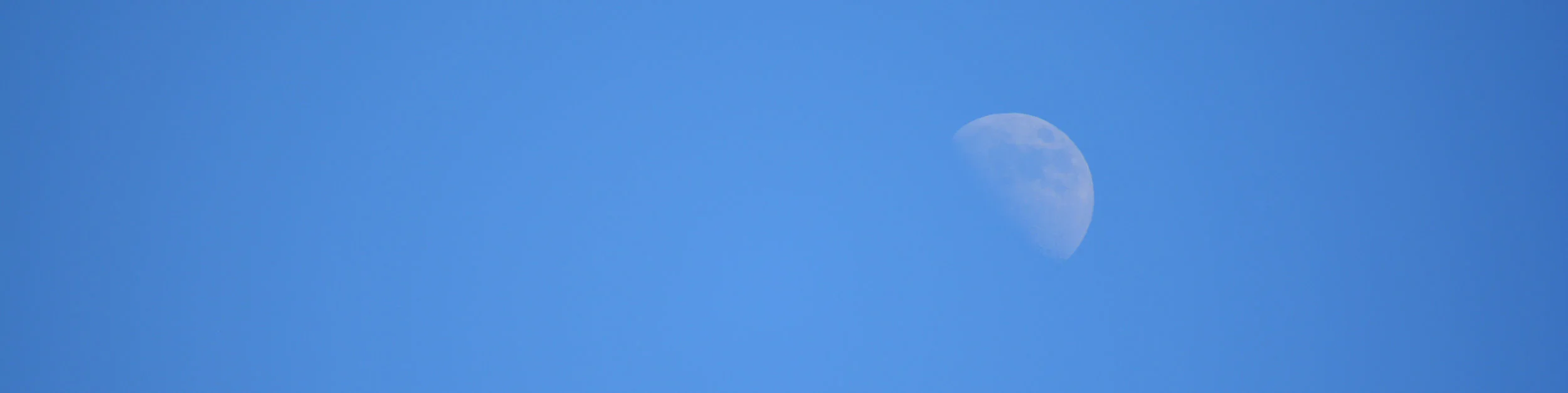DSC_0826EDIT.jpg
