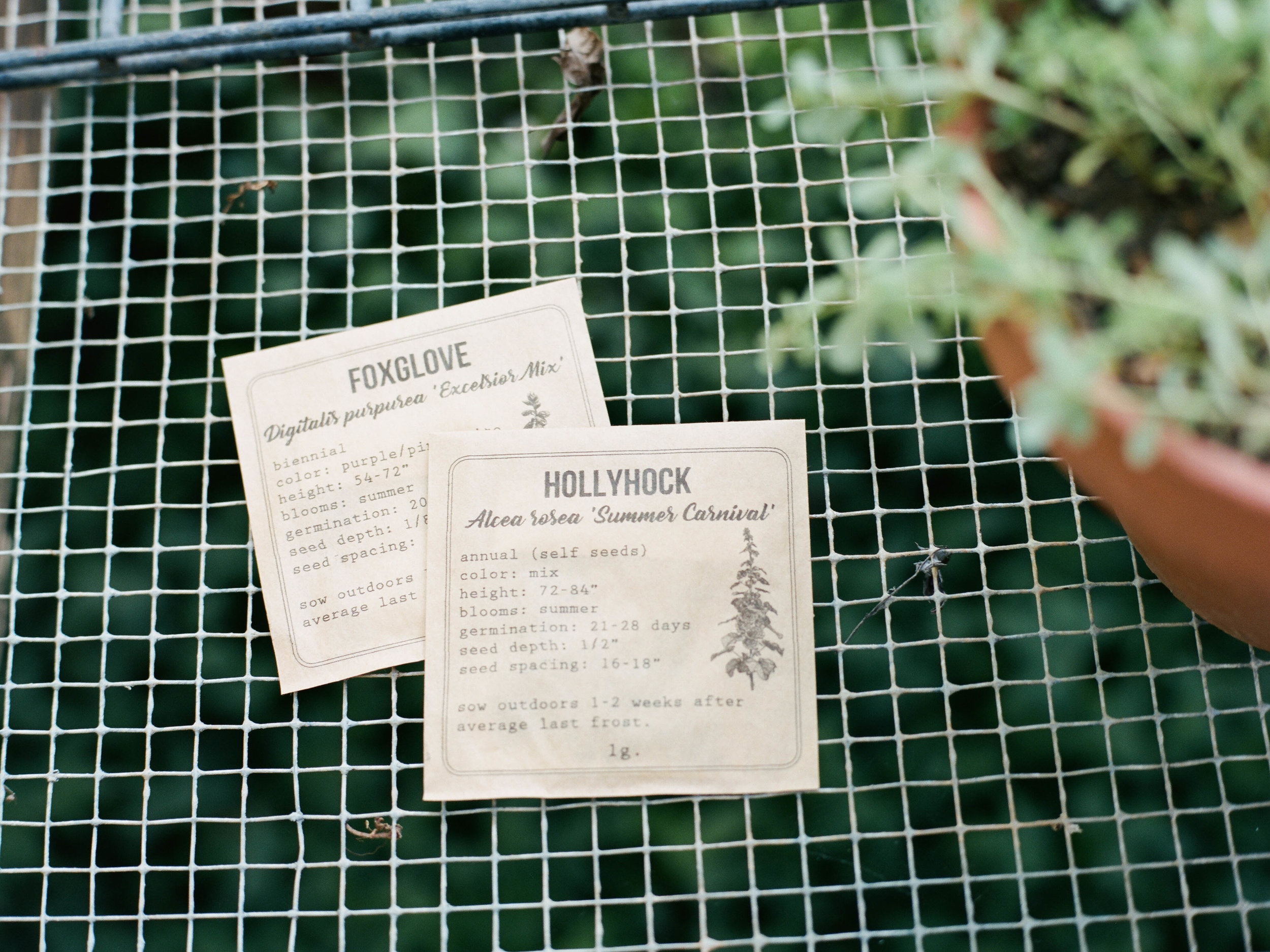garden box-5.jpg