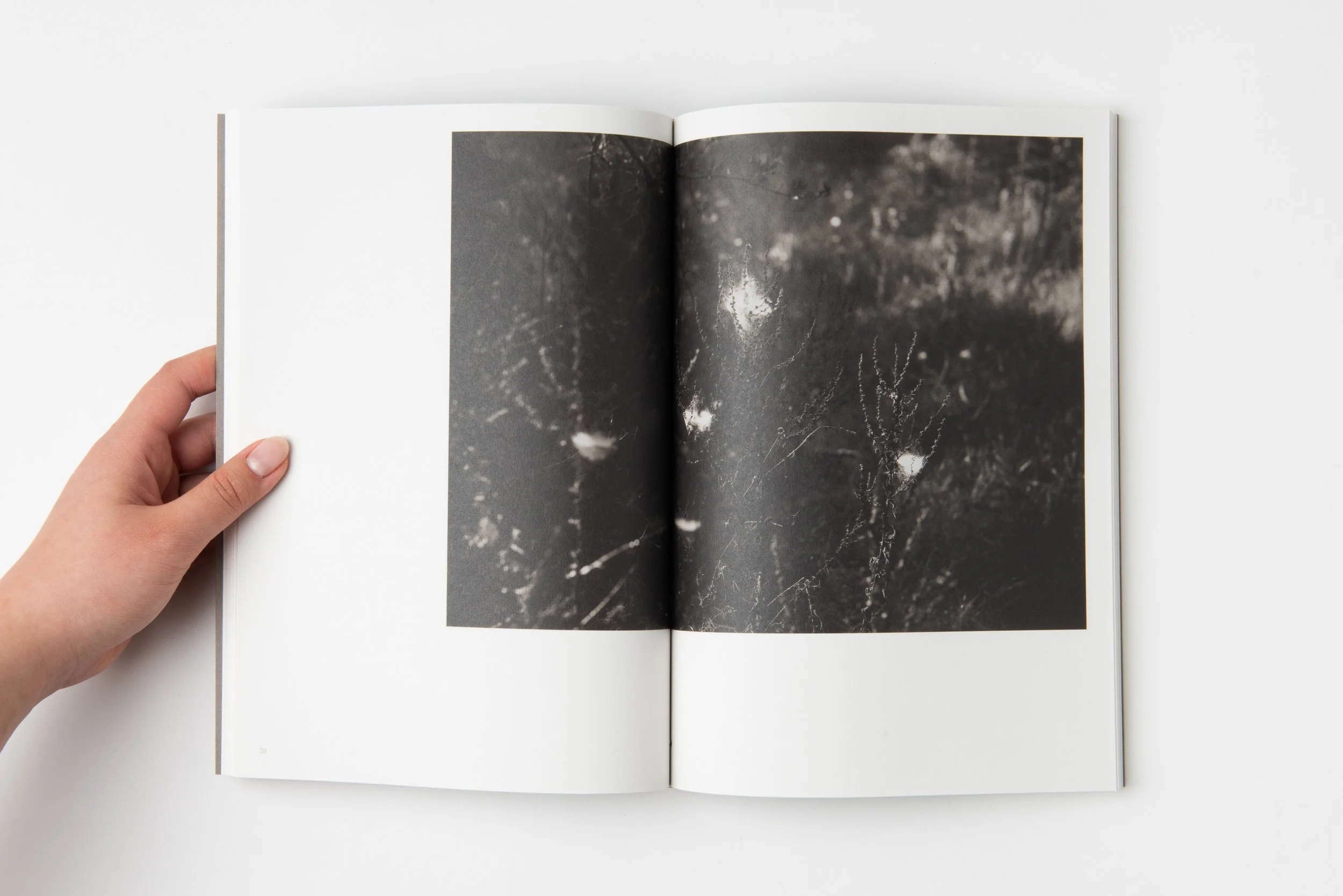 07.jpg