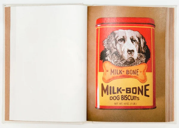dogs-23.jpg
