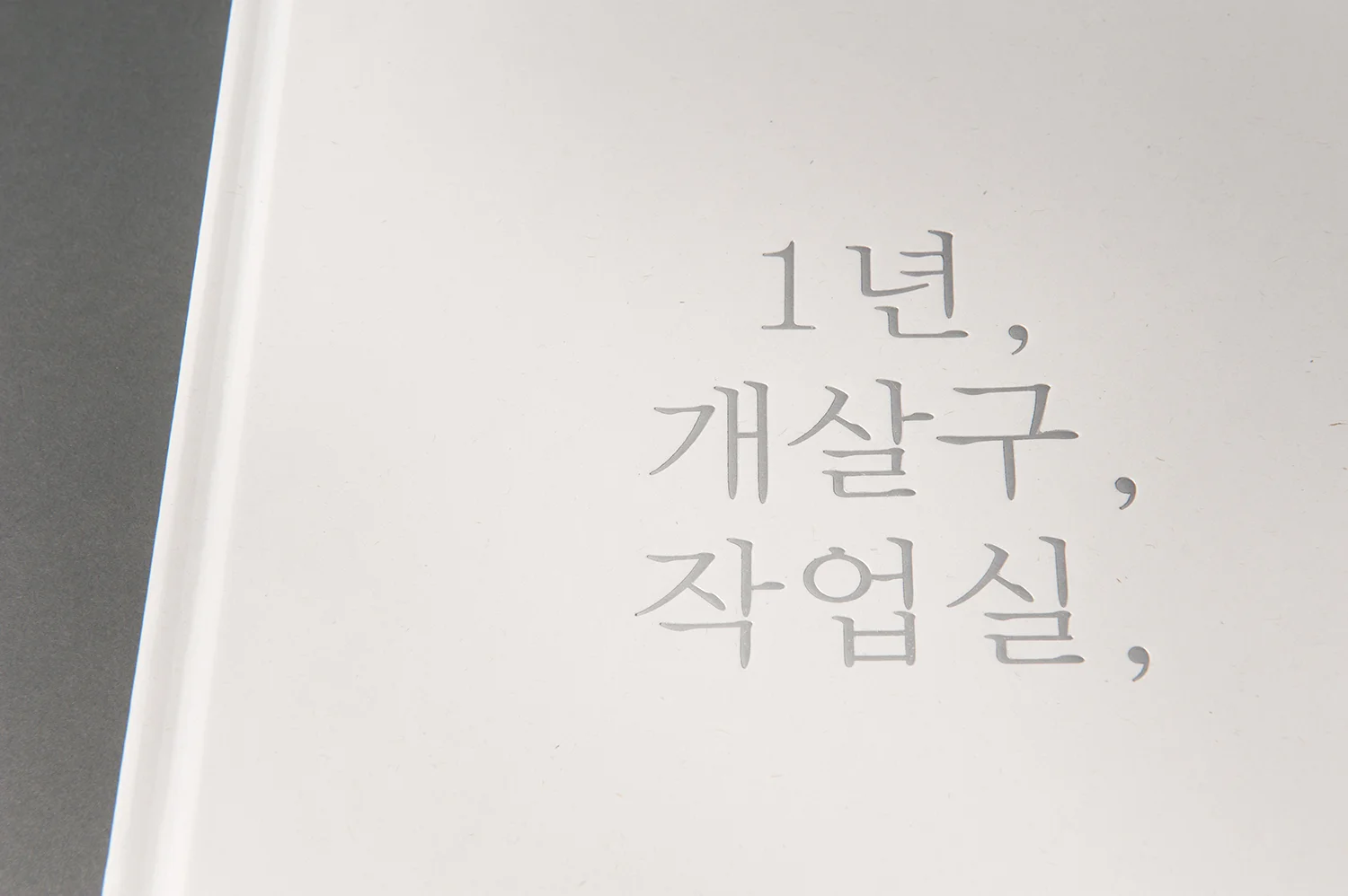 _JYP3478.jpg