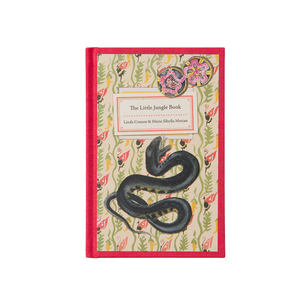 The Little Jungle Book