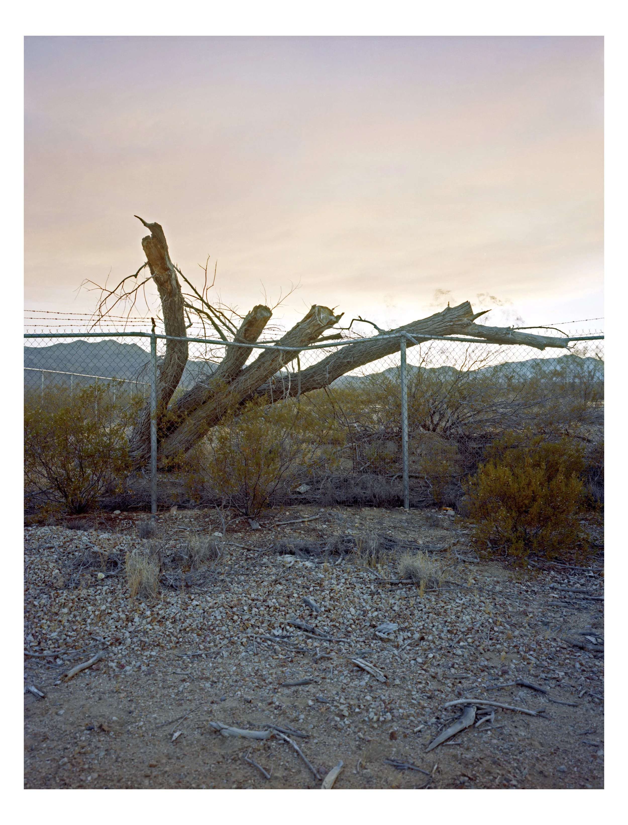 2020_Out west_LasVegas .jpg