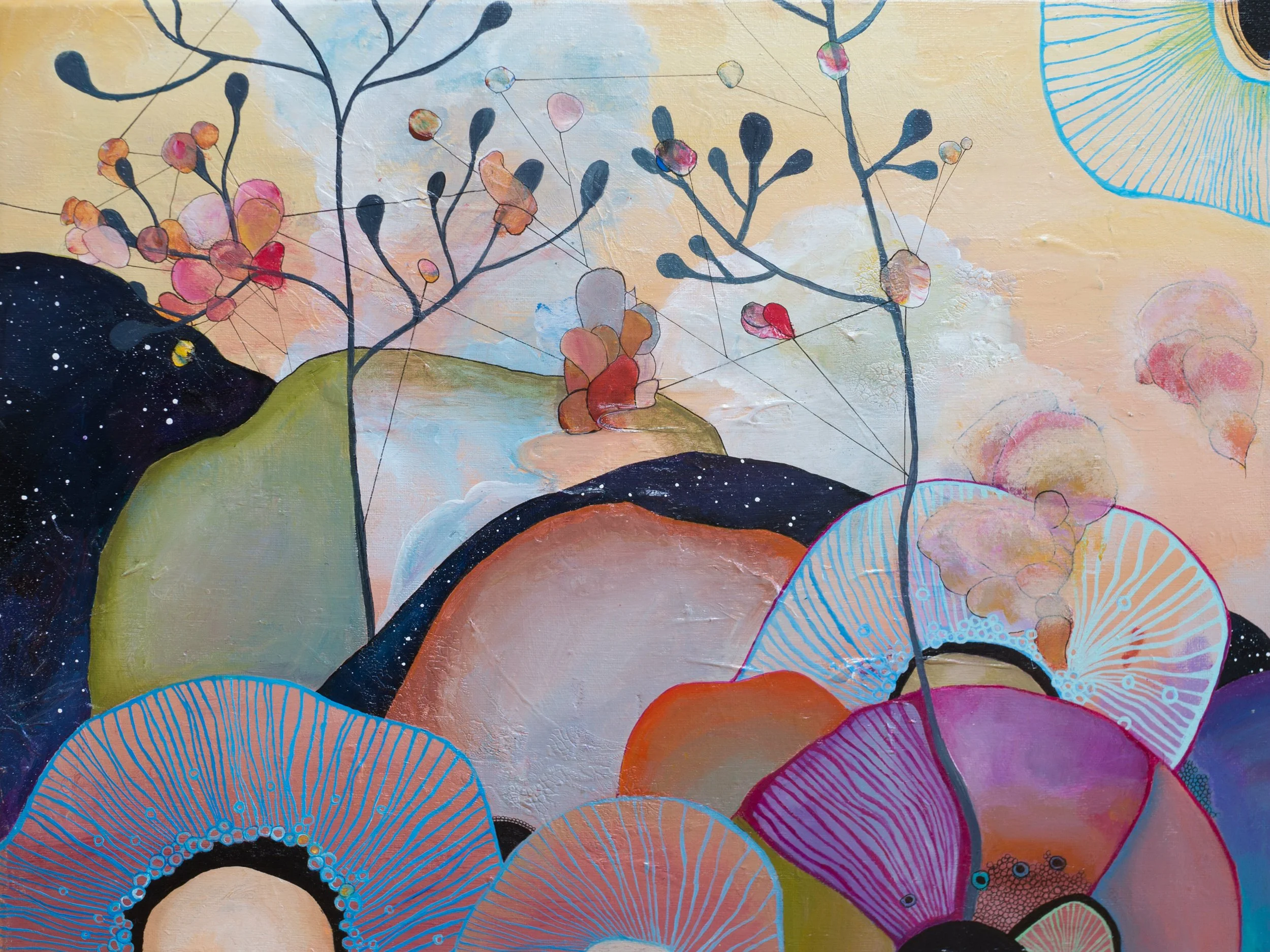 basement dreams 1' 16.jpg