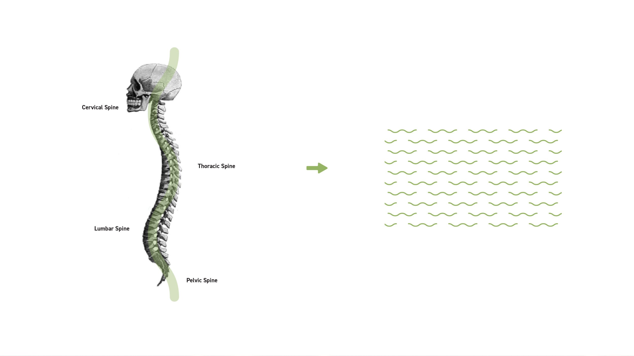 MobilePhysioSite-04.jpg