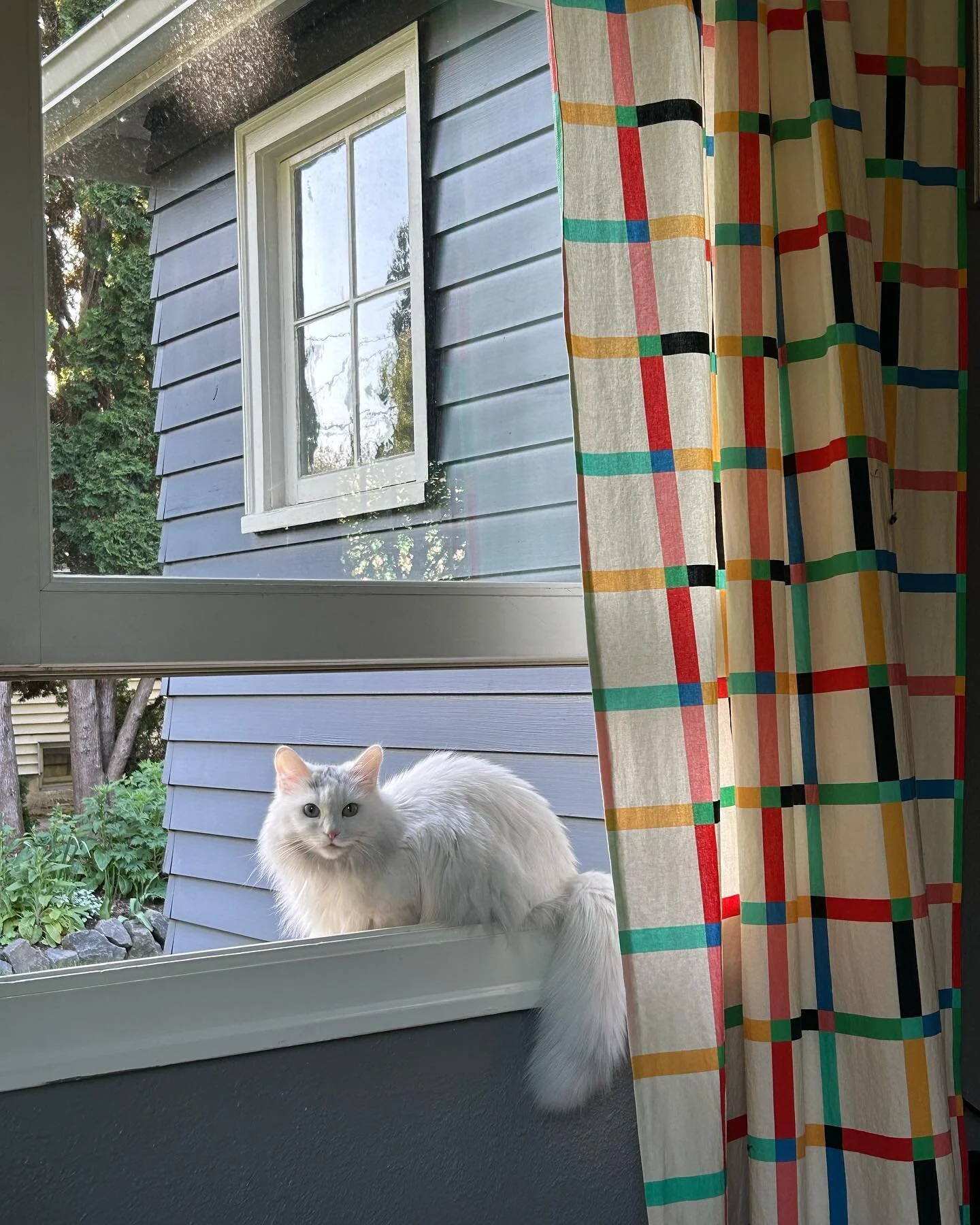 It&rsquo;s finally nice enough to open up the windows in the studio 🌸 this is heaven 🥰
