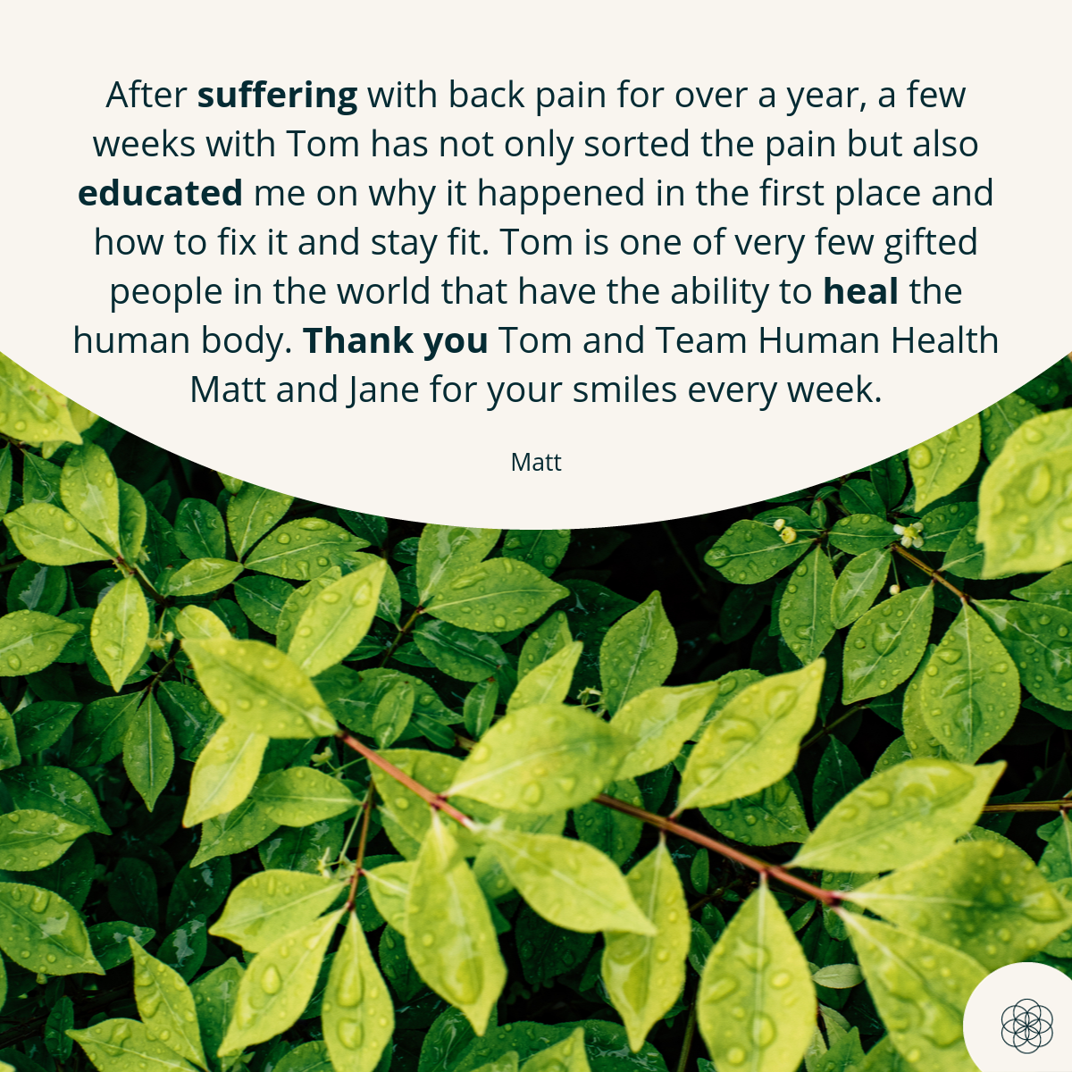 Matt P Testimonial.png