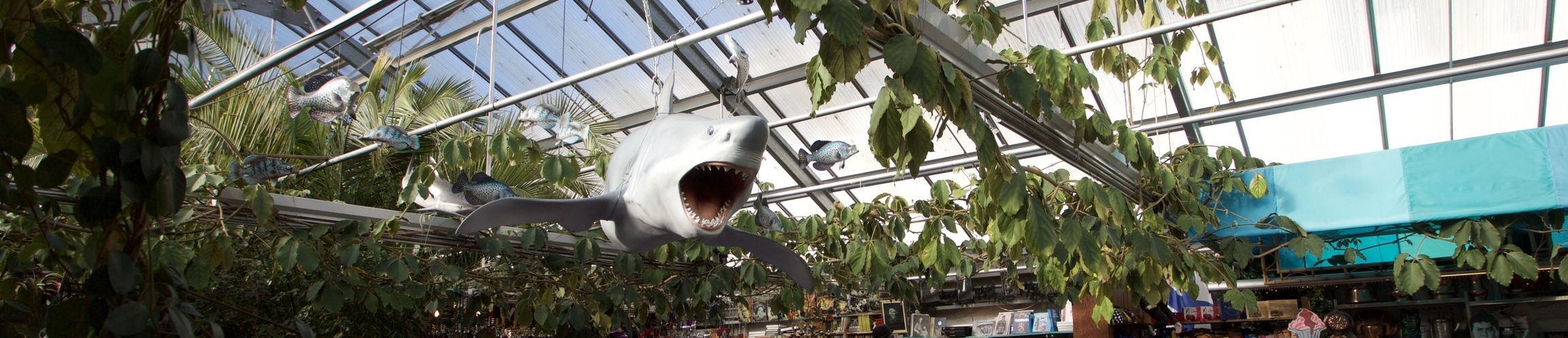 IMG_8430.jpg