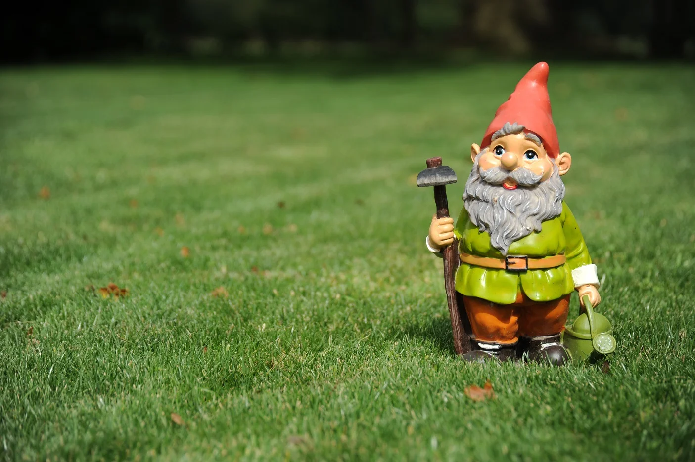 Gnome_AdobeStock_33338076_LR.jpg