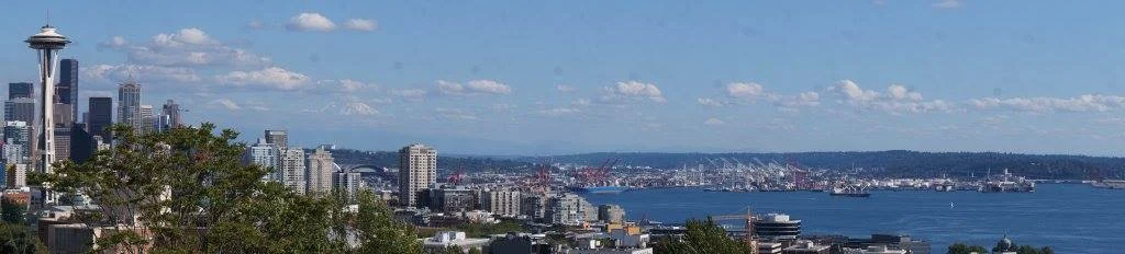 SEATTLE SKYLINE FROM KERRY PARK